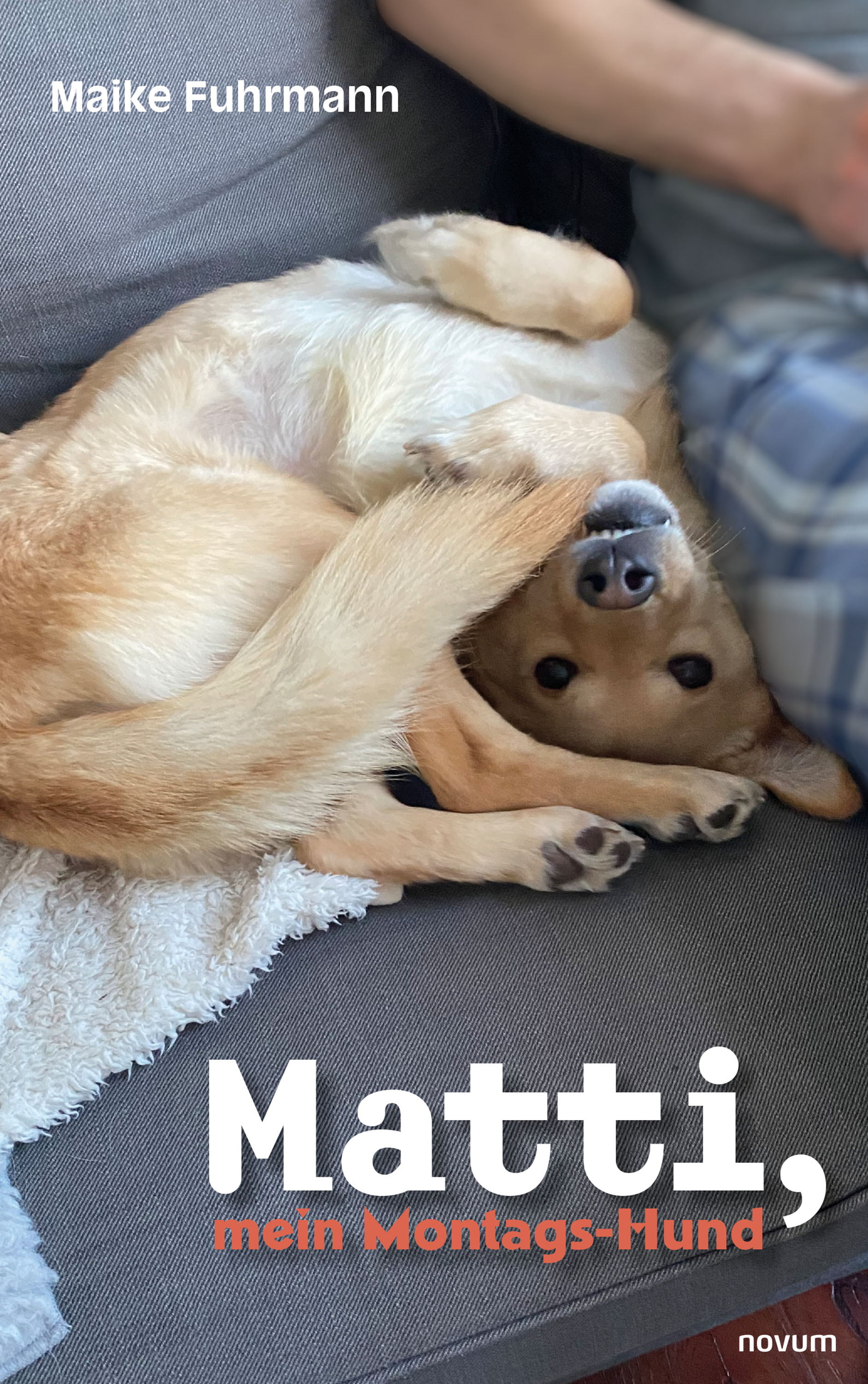 Обложка книги «Matti, mein Montags-Hund»