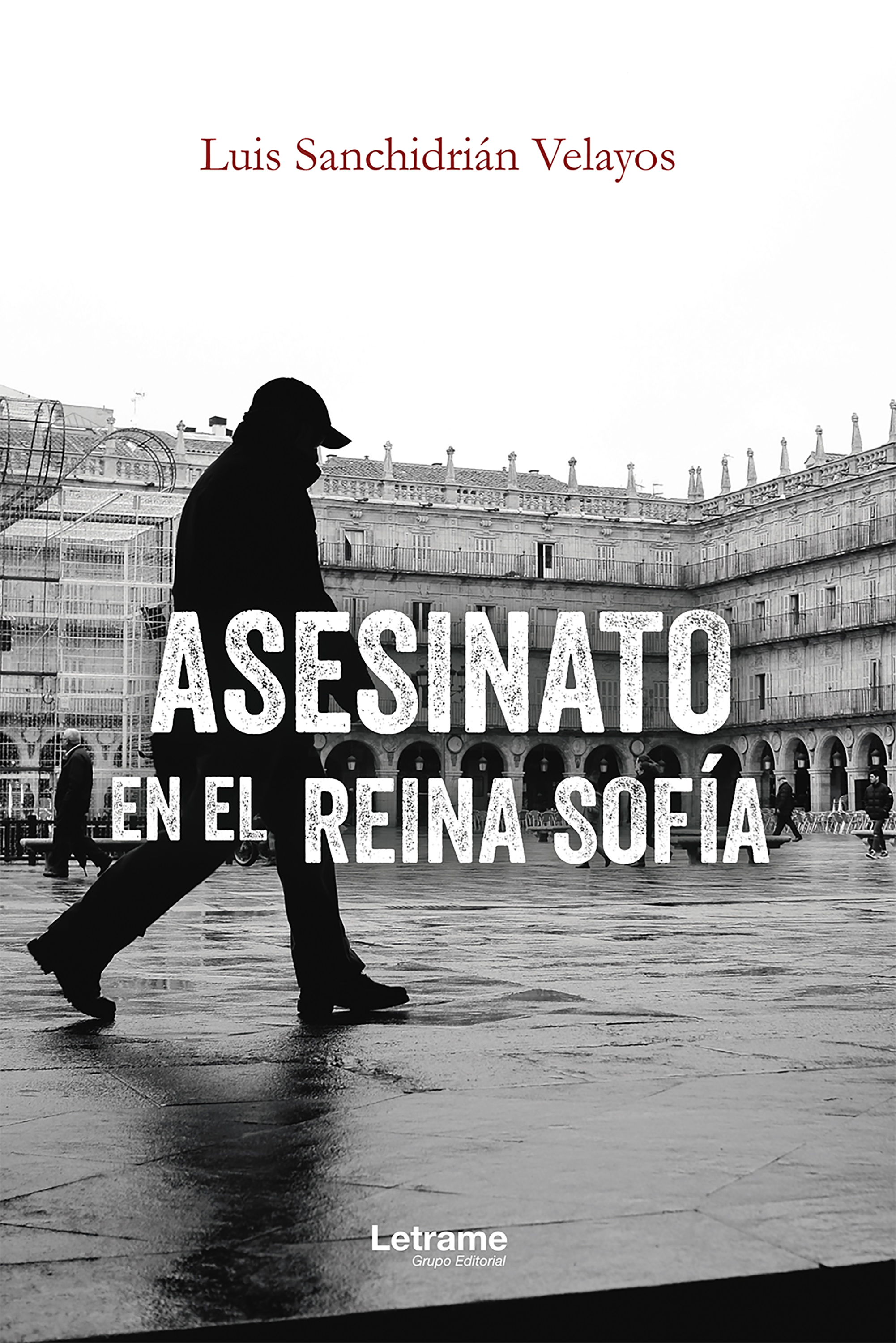 Обложка книги «Asesinato en el Reina Sofía»