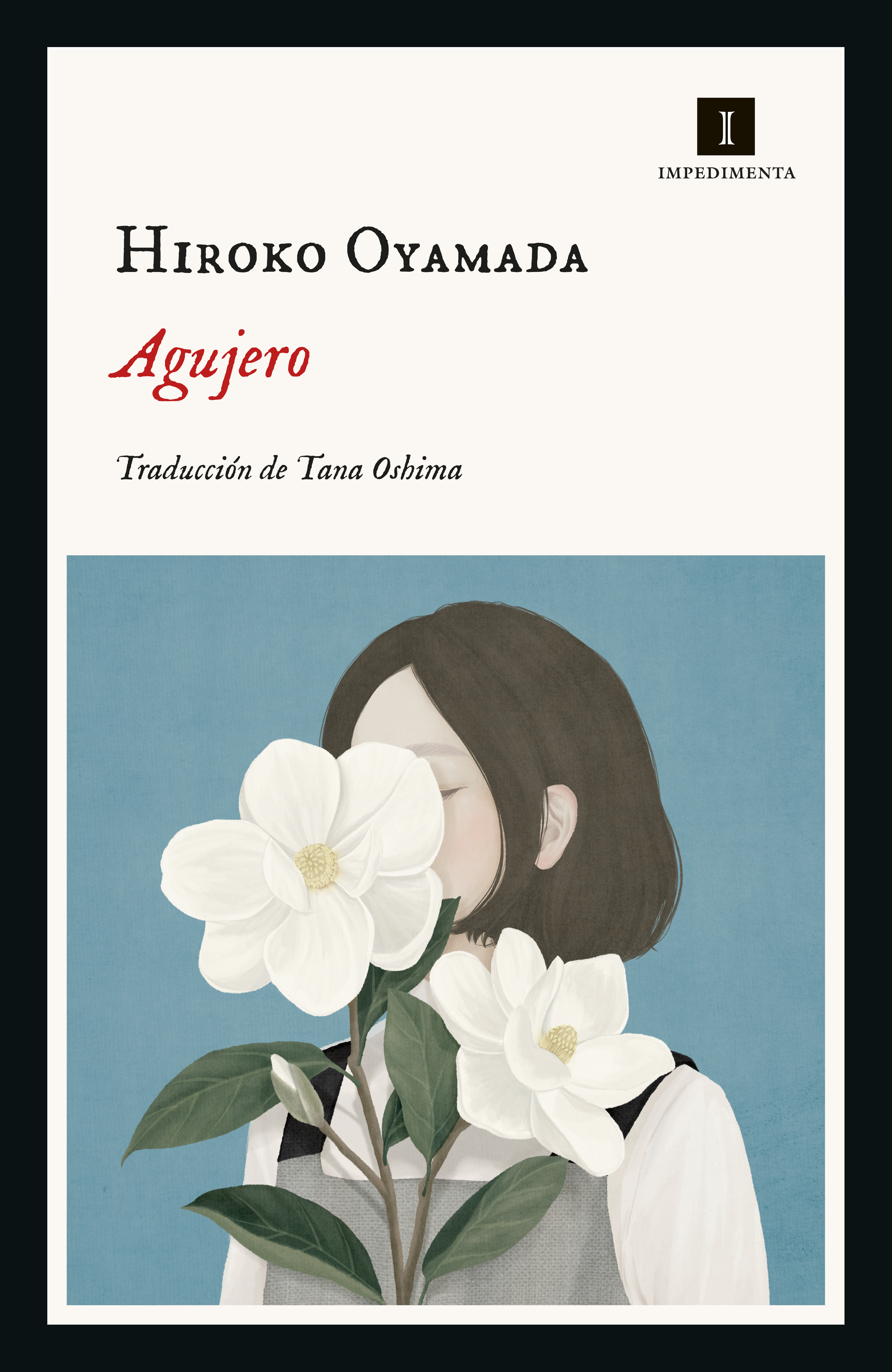 Обложка книги «Agujero»