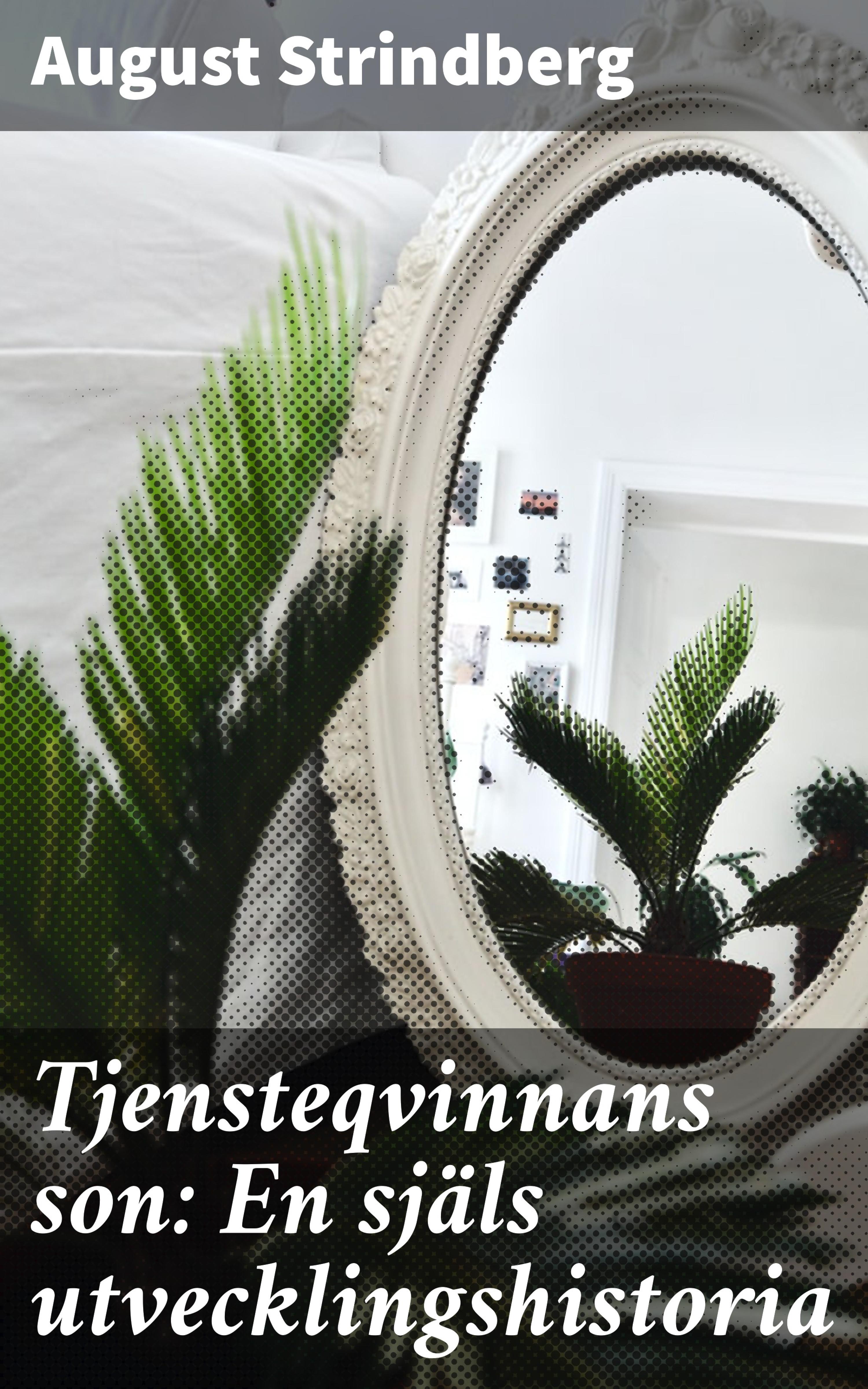 Обложка книги «Tjensteqvinnans son: En själs utvecklingshistoria»