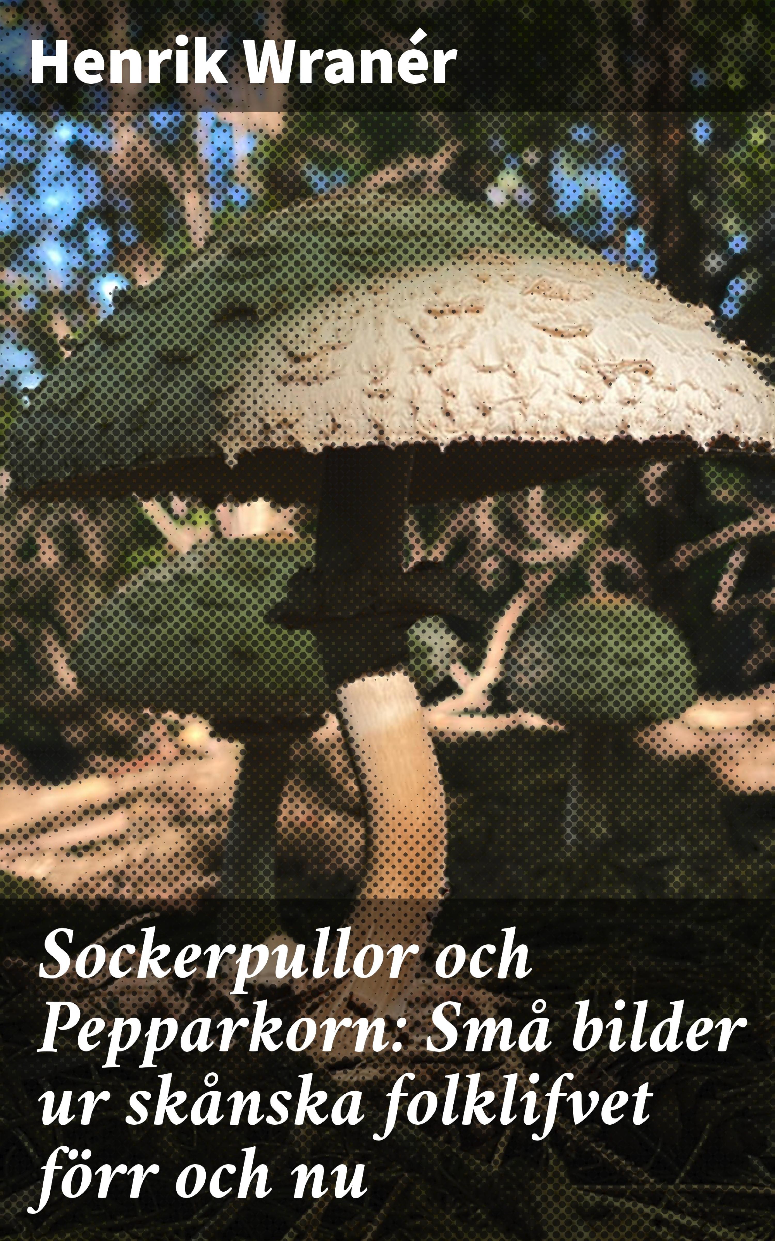 Обложка книги «Sockerpullor och Pepparkorn: Små bilder ur skånska folklifvet förr och nu»