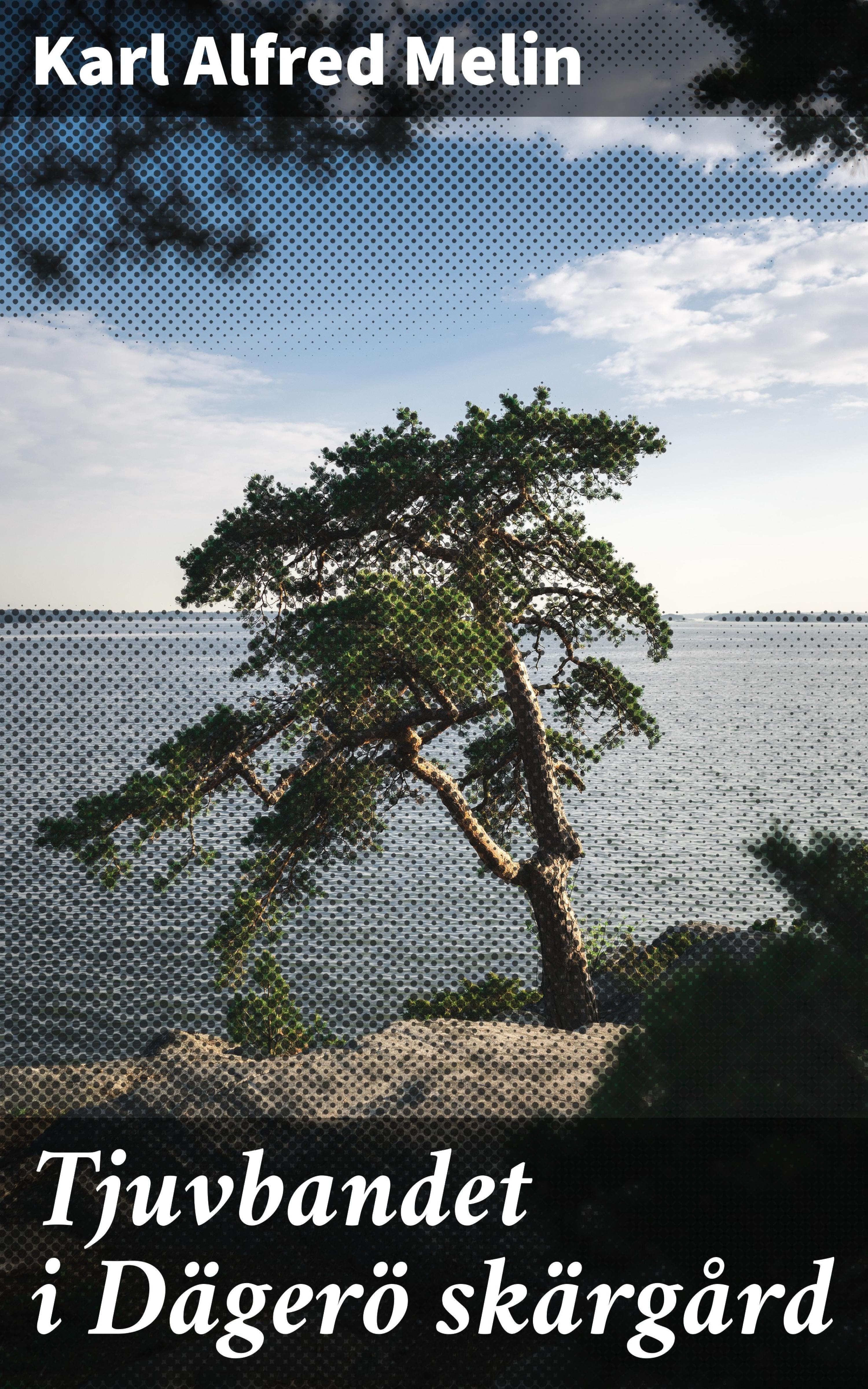 Обложка книги «Tjuvbandet i Dägerö skärgård»