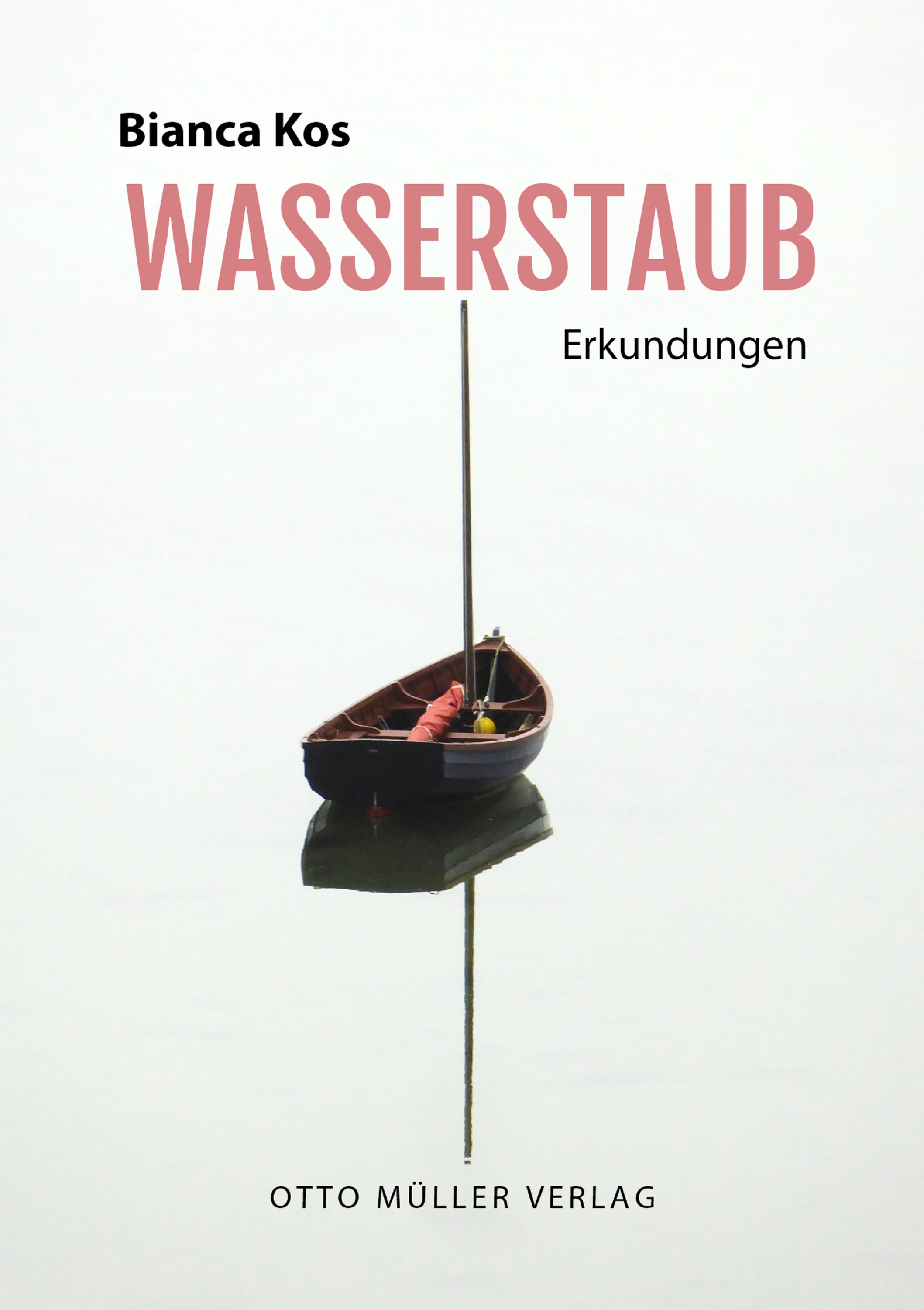 Обложка книги «Wasserstaub»