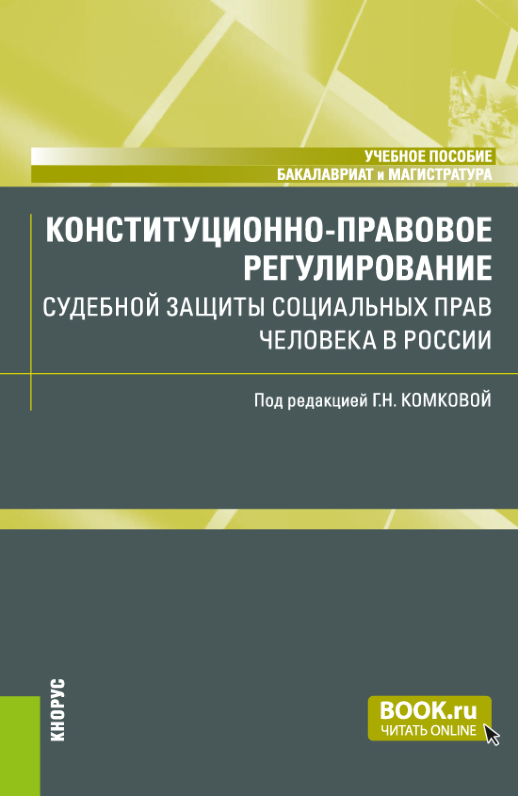 Обложка книги «Конституционно-правовое регулирование судебной защиты социальных прав человека в России. (Бакалавриат, Магистратура). Учебное пособие.»