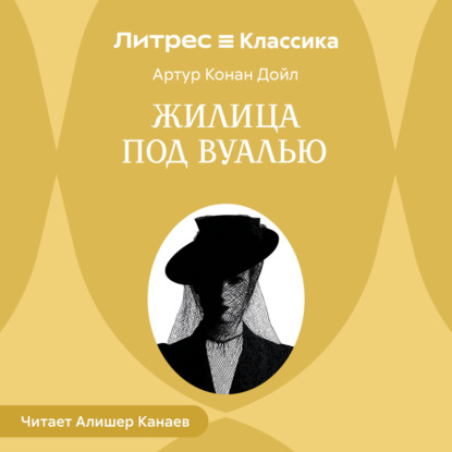 Обложка книги «Жилица под вуалью»