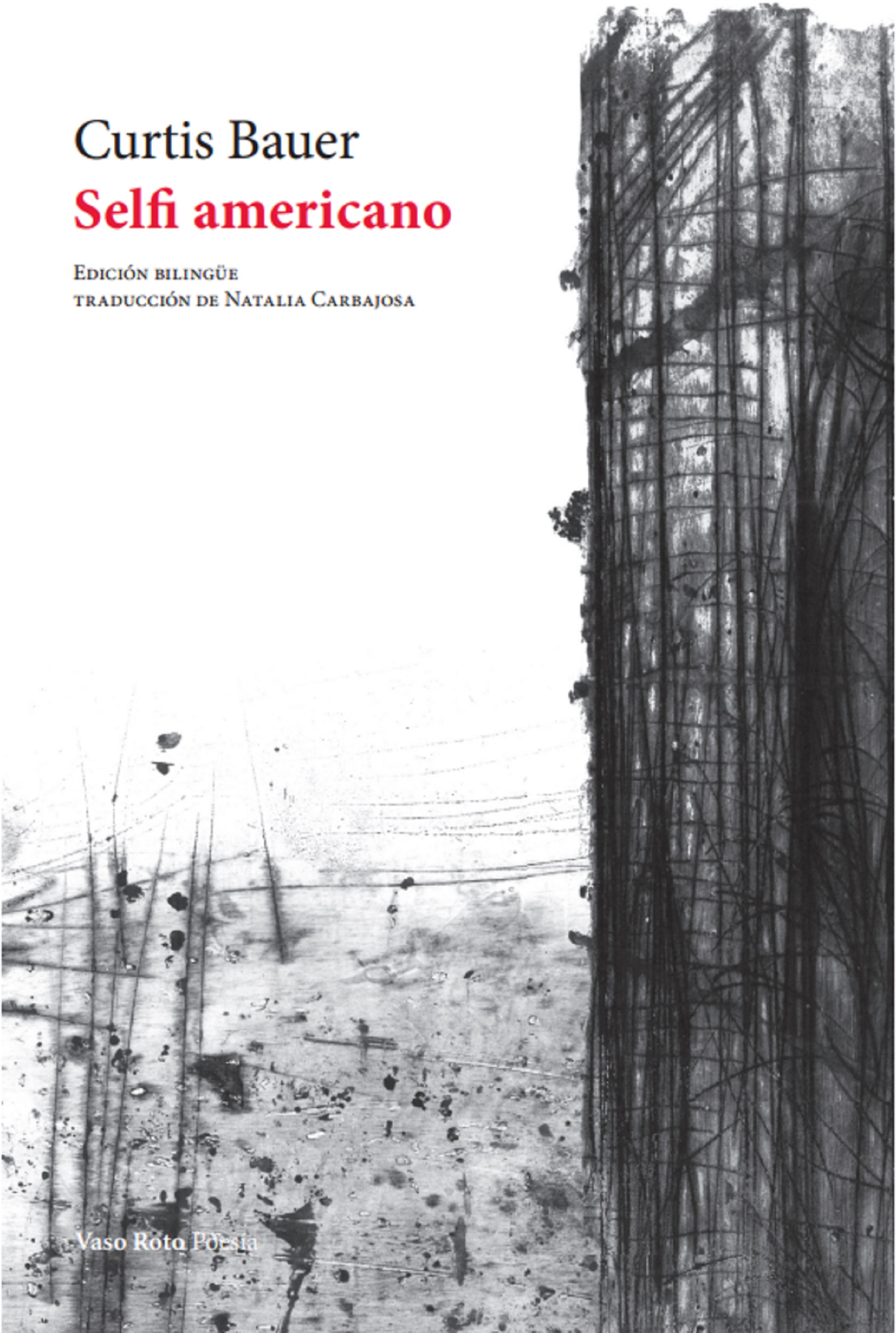Обложка книги «Selfi americano»