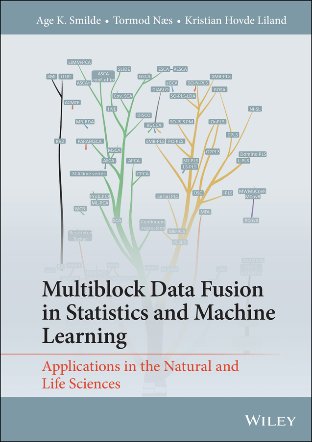 Обложка книги «Multiblock Data Fusion in Statistics and Machine Learning»