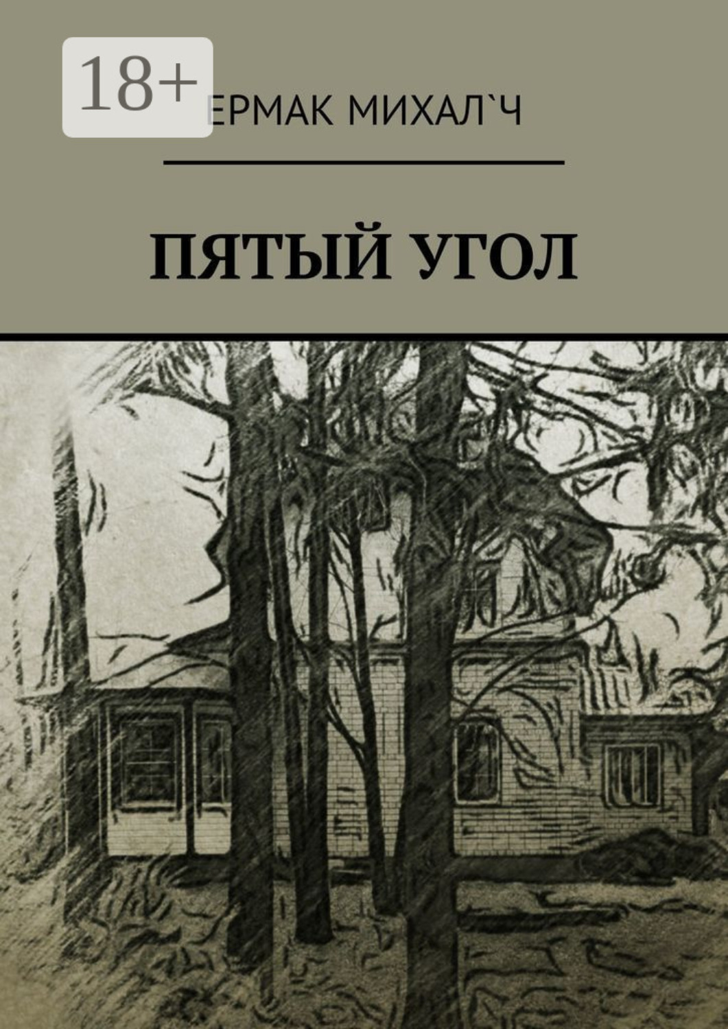 Обложка книги «Пятый угол»