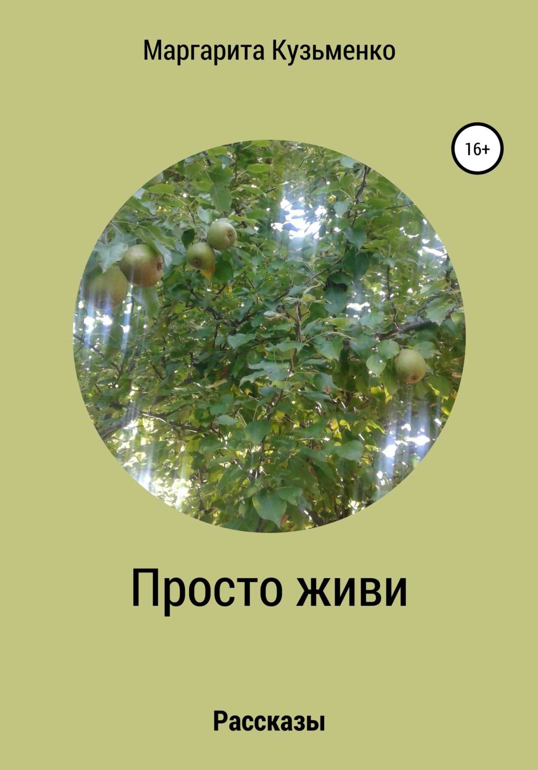 Обложка книги «Просто живи. Рассказы»