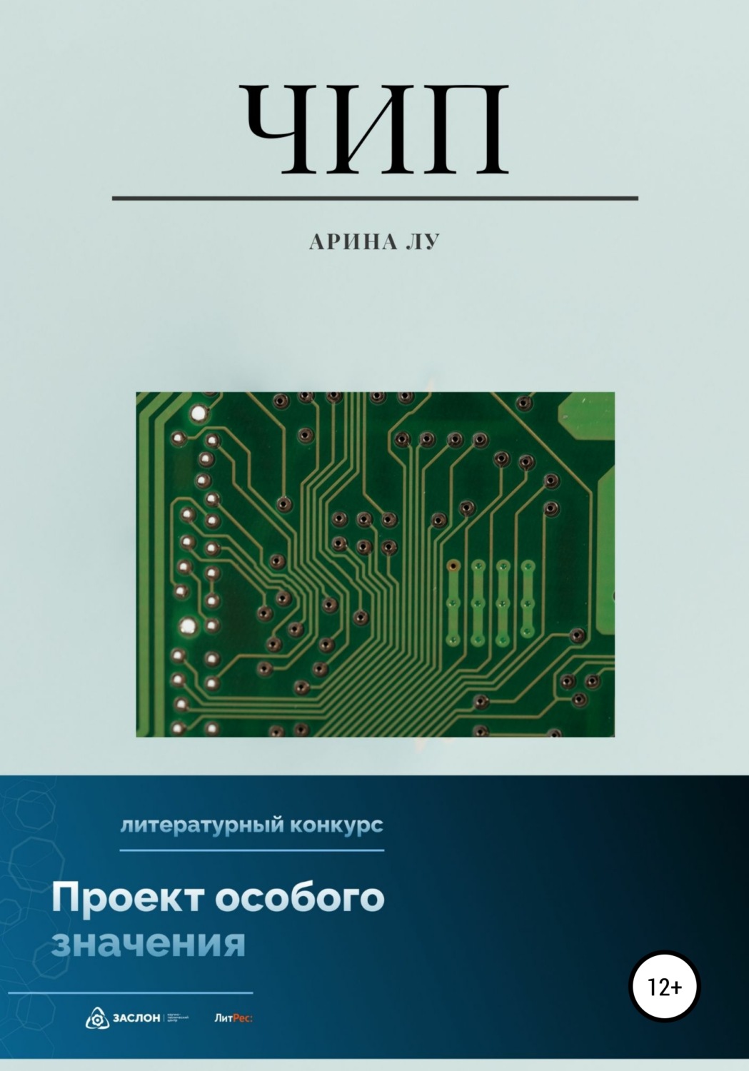 Обложка книги «Чип»