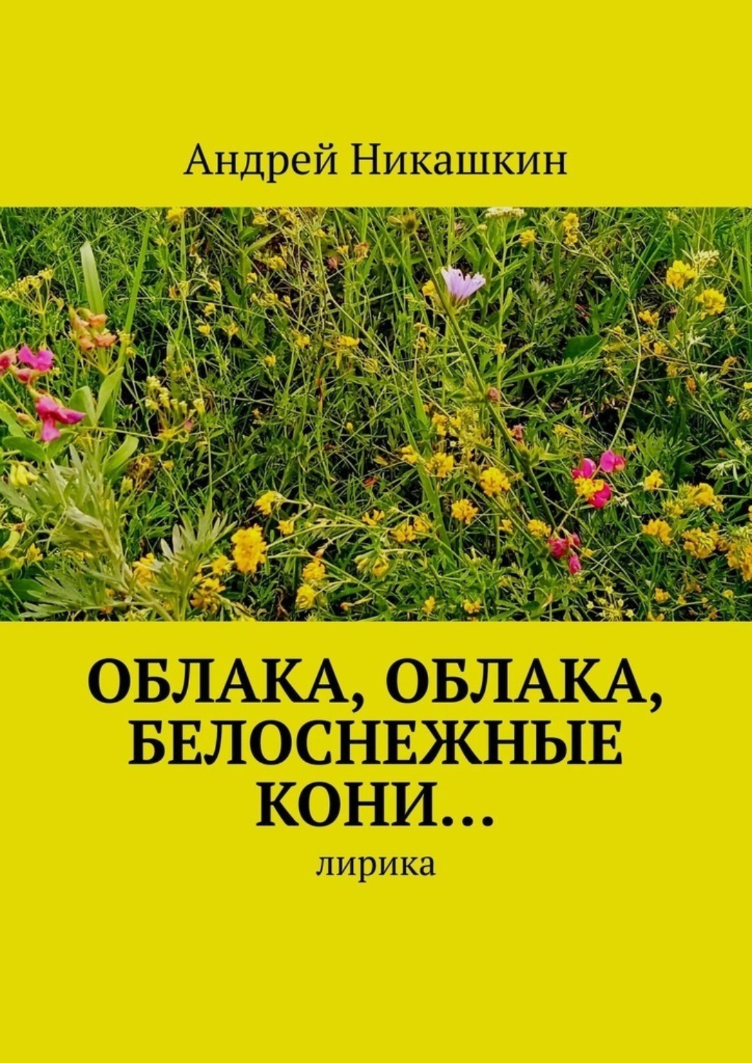 Обложка книги «Облака, облака, белоснежные кони… Лирика»