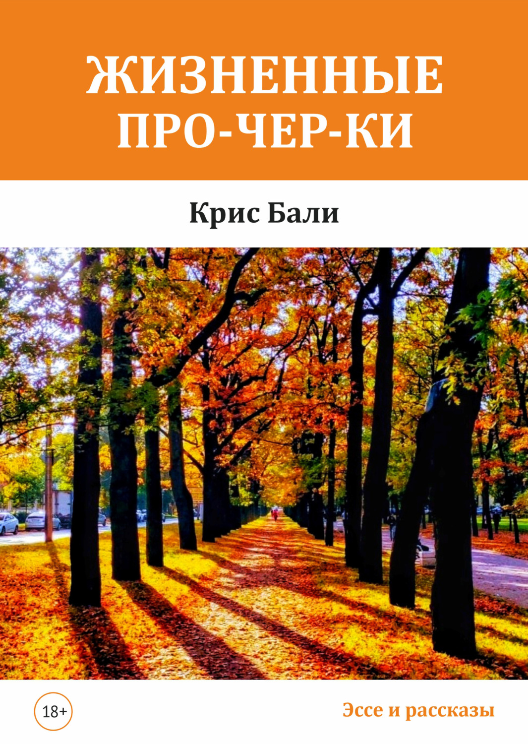 Обложка книги «Жизненные про-чер-ки»