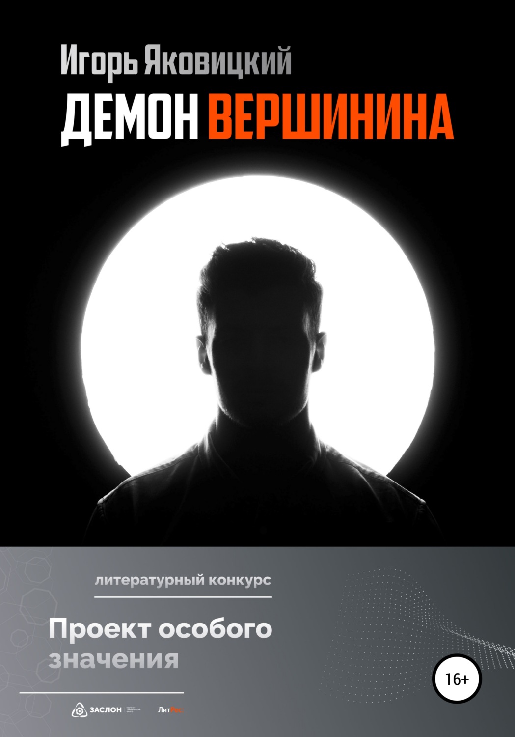 Обложка книги «Демон Вершинина»