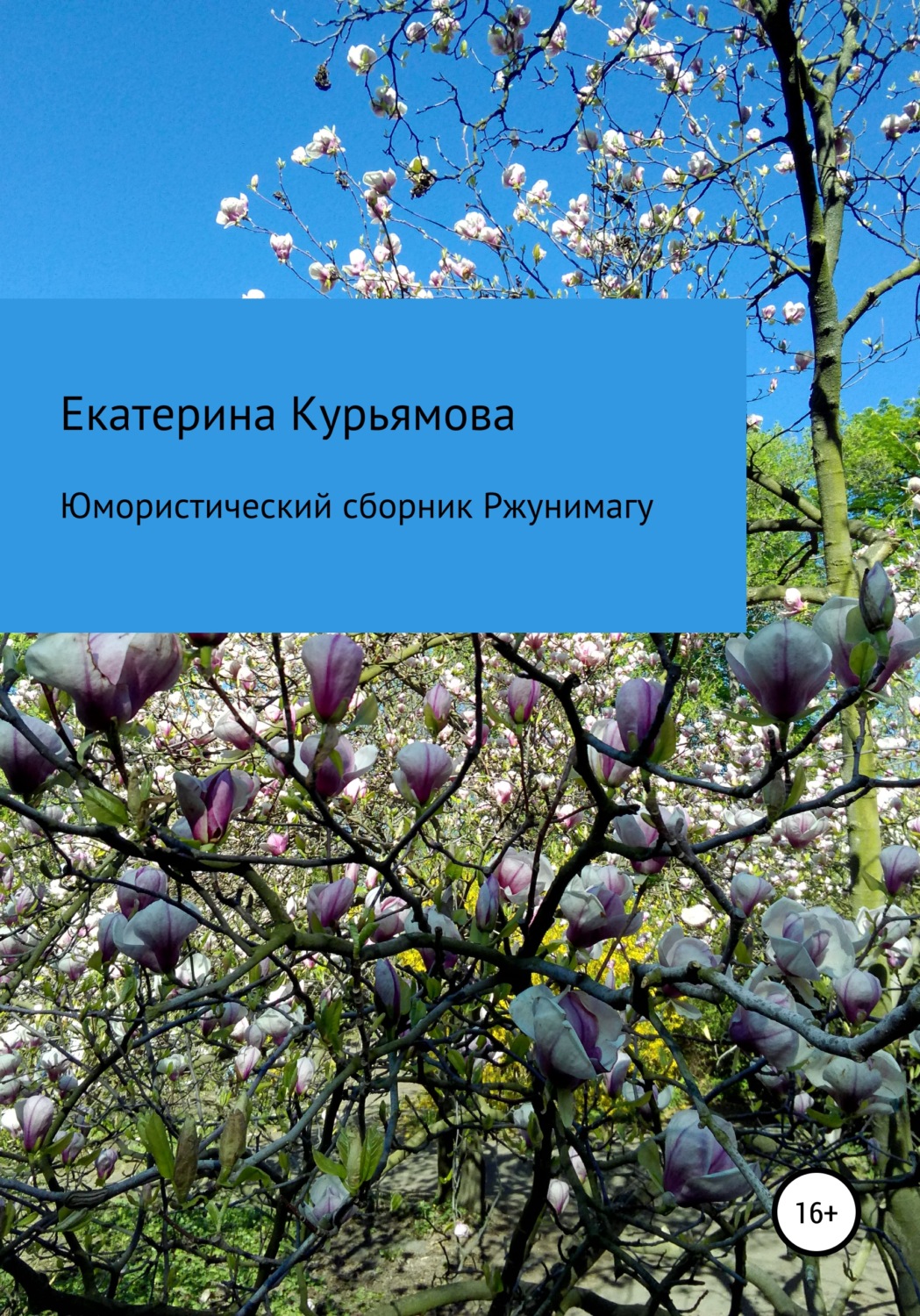Обложка книги «Юмористический сборник Ржунимагу»