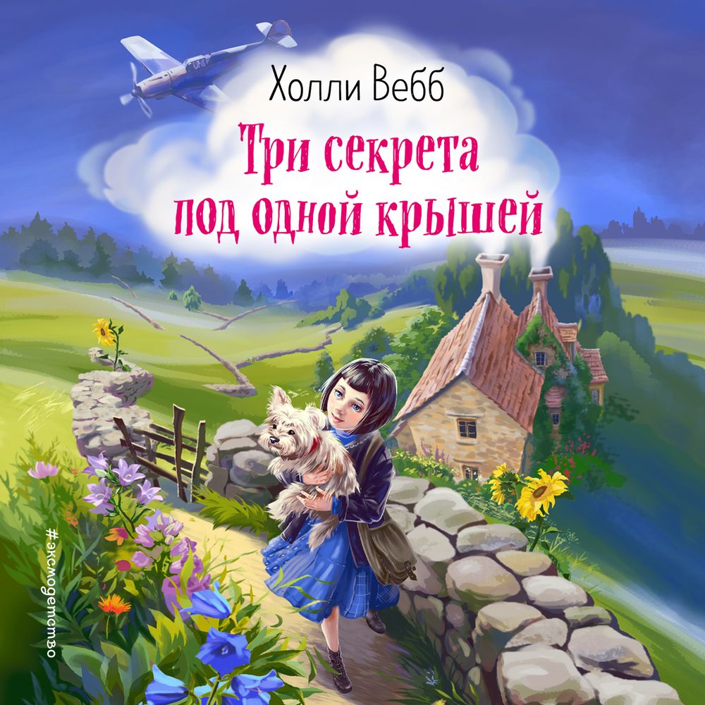 Обложка книги «Три секрета под одной крышей»