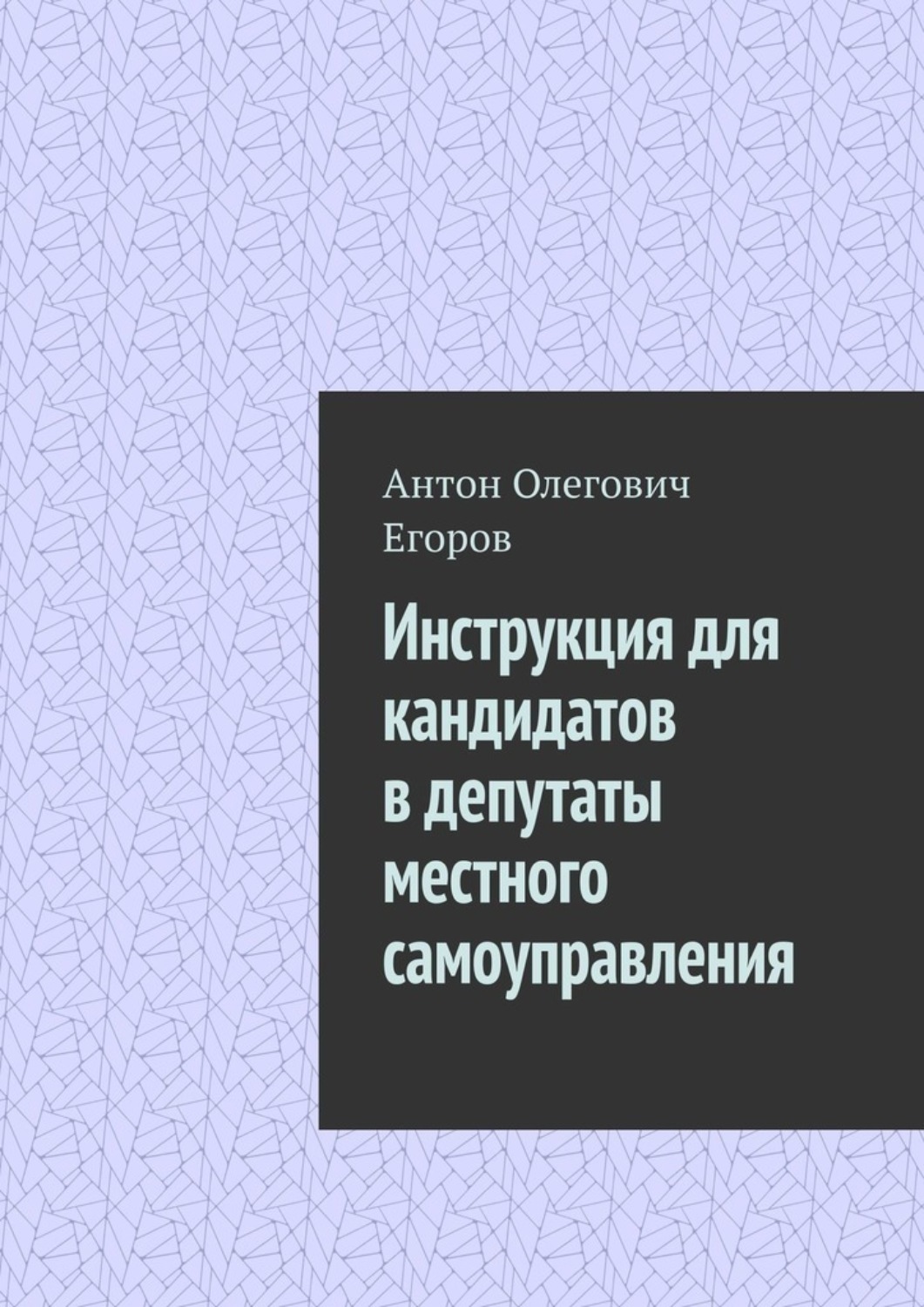 Обложка книги «Инструкция для кандидатов в депутаты местного самоуправления»
