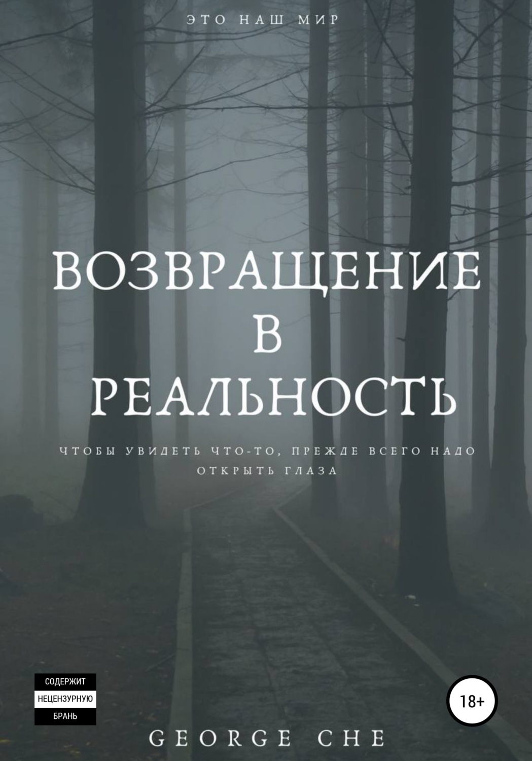 Обложка книги «Возвращение в реальность»