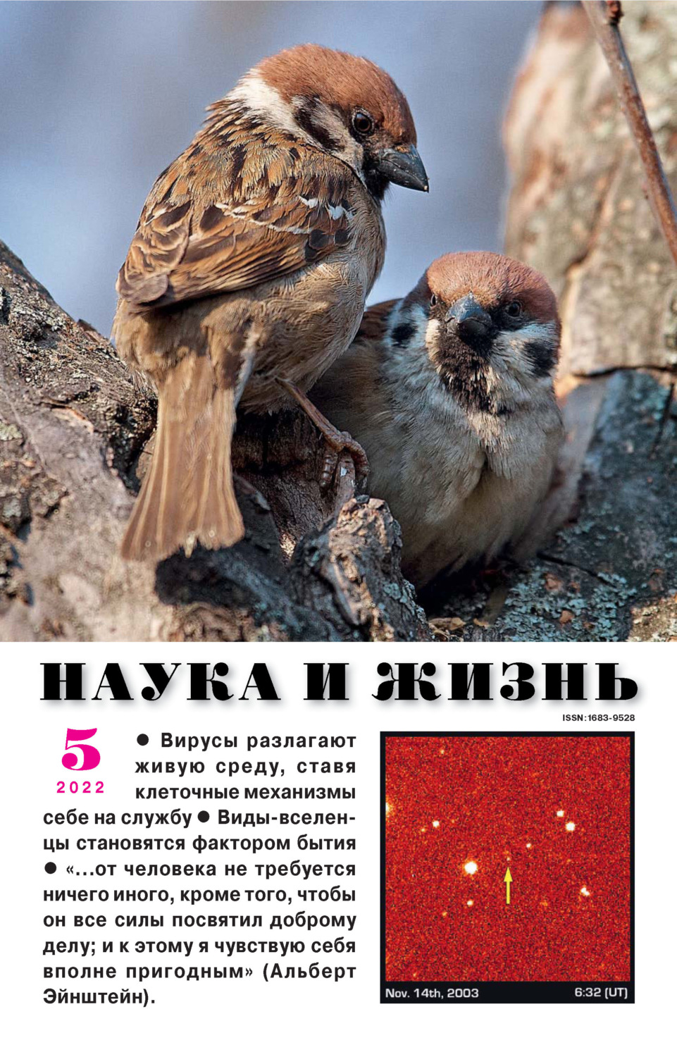 Обложка книги «Наука и жизнь №05/2022»