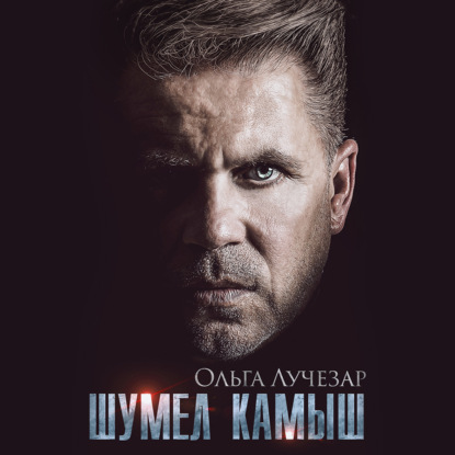 Обложка книги «Шумел Камыш»