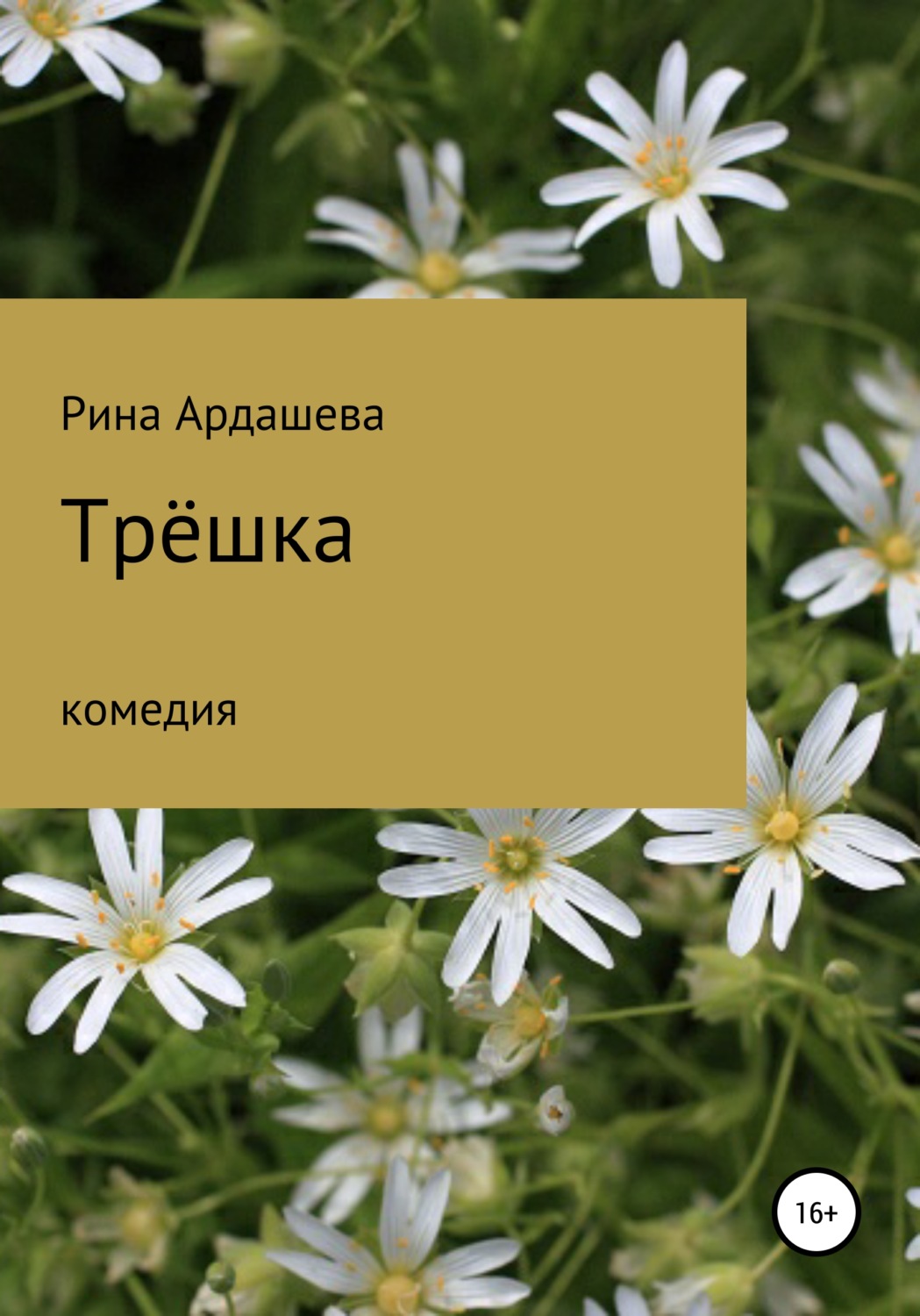 Обложка книги «Трёшка»