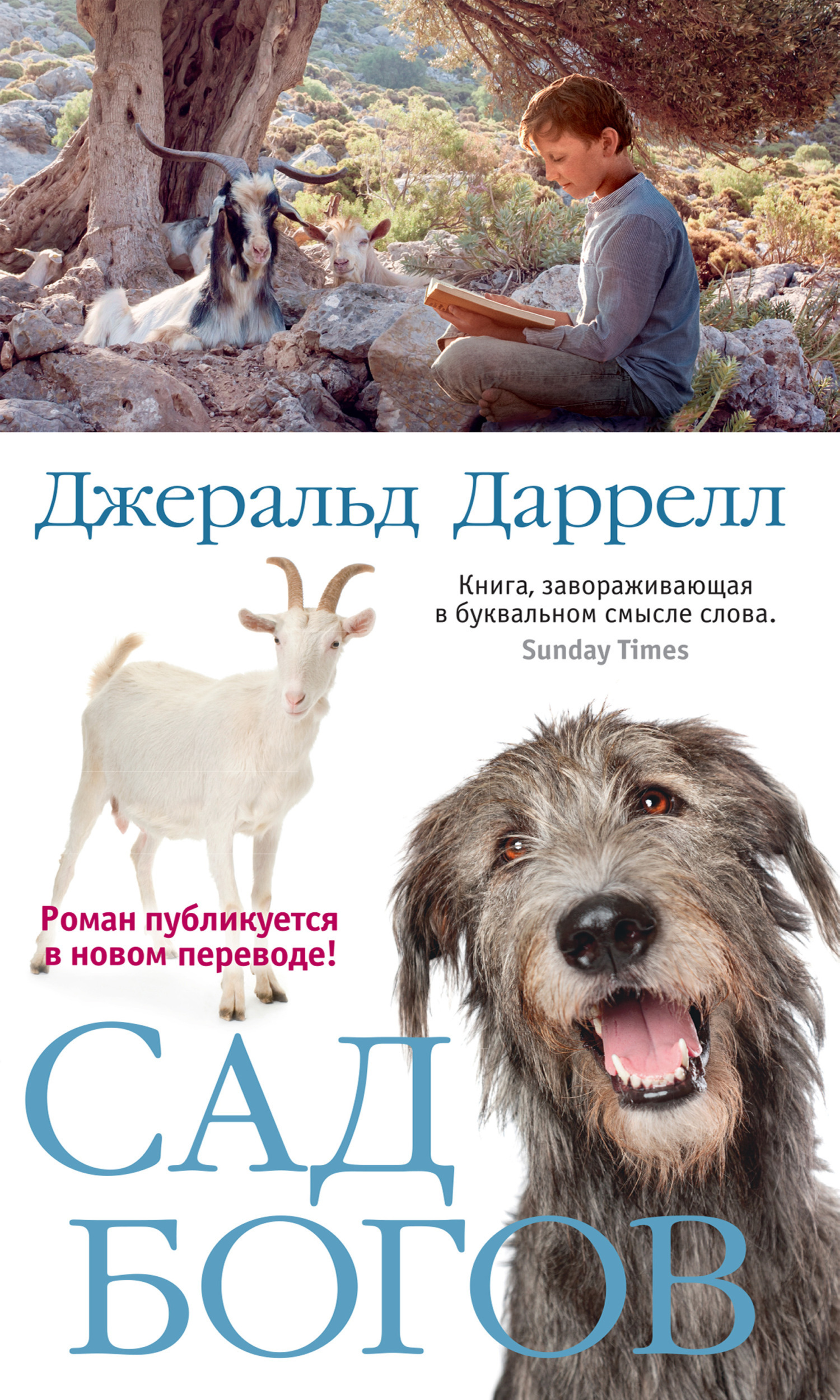 Обложка книги «Сад богов»