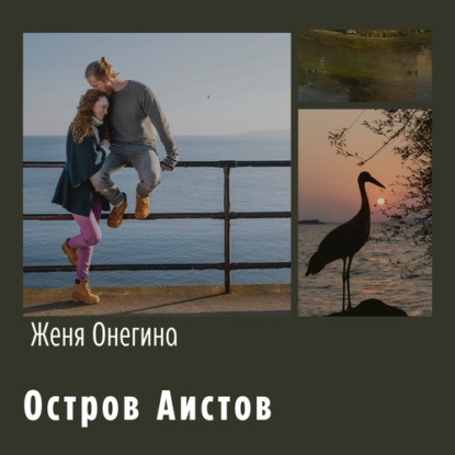Обложка книги «Остров аистов»