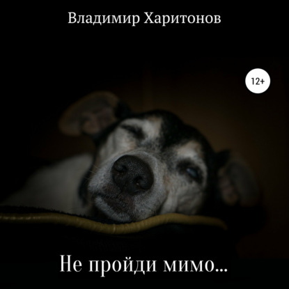 Обложка книги «Не пройди мимо…»