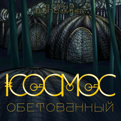Обложка книги «Космос обетованный»