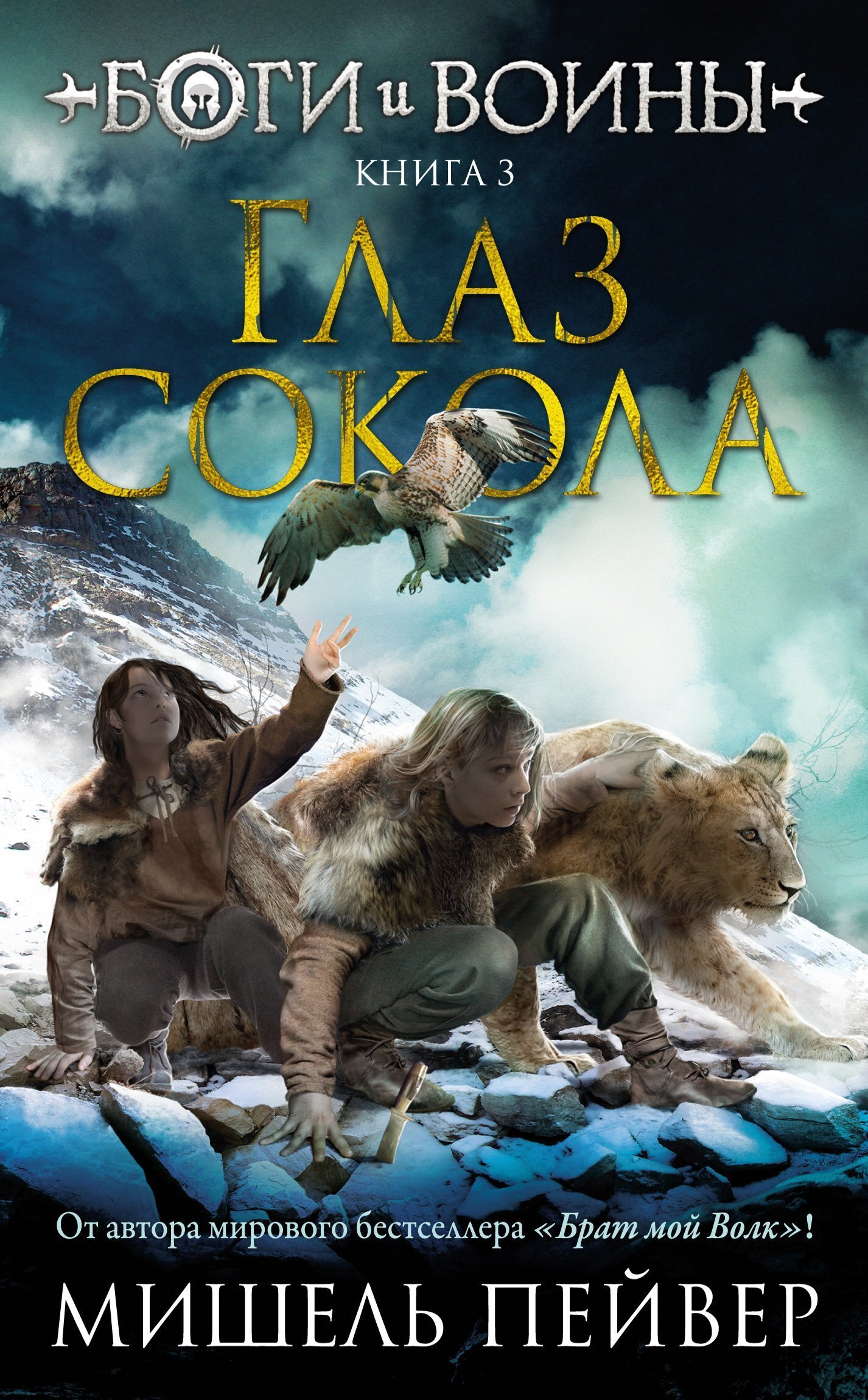 Обложка книги «Глаз сокола»