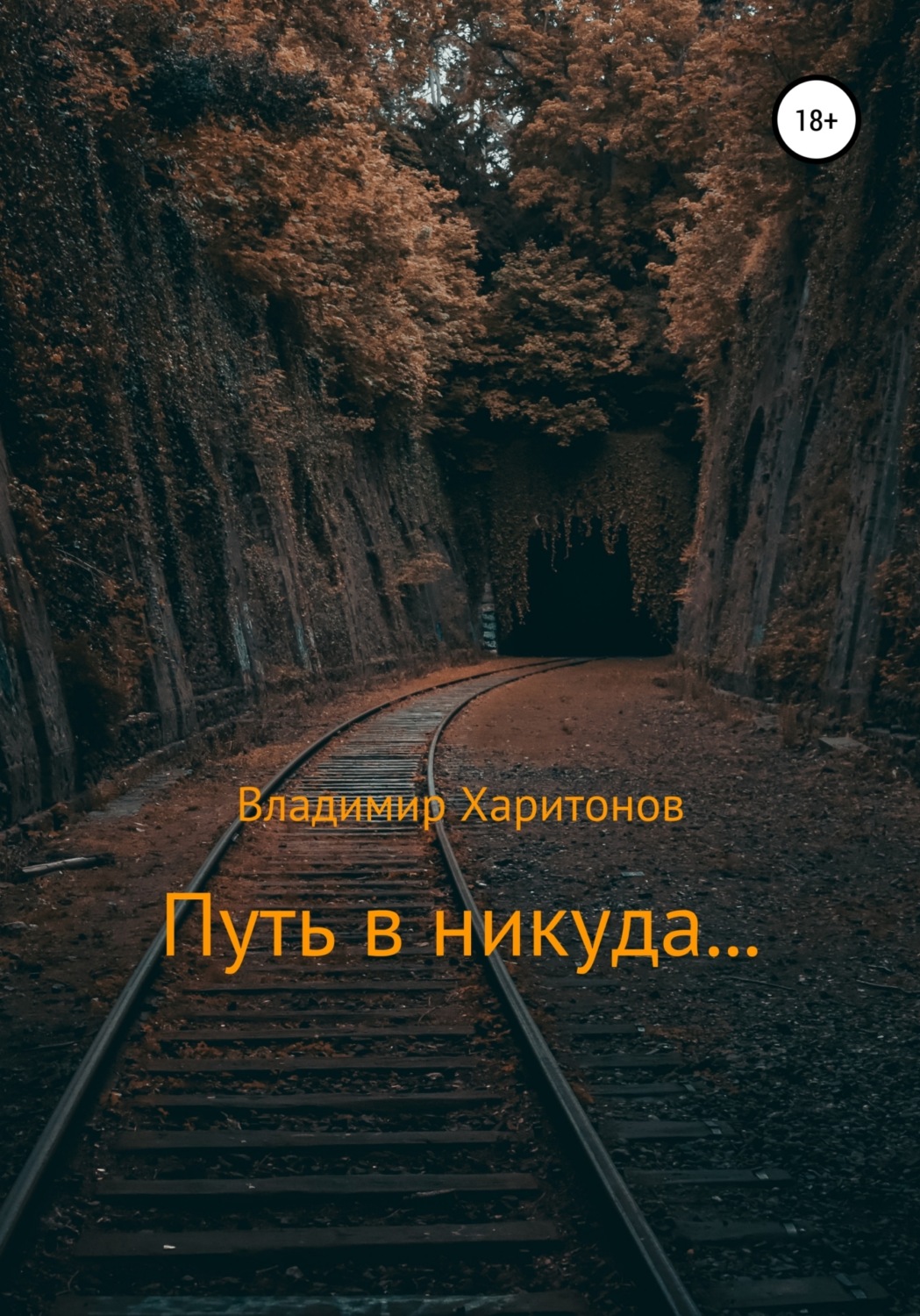 Обложка книги «Путь в никуда...»