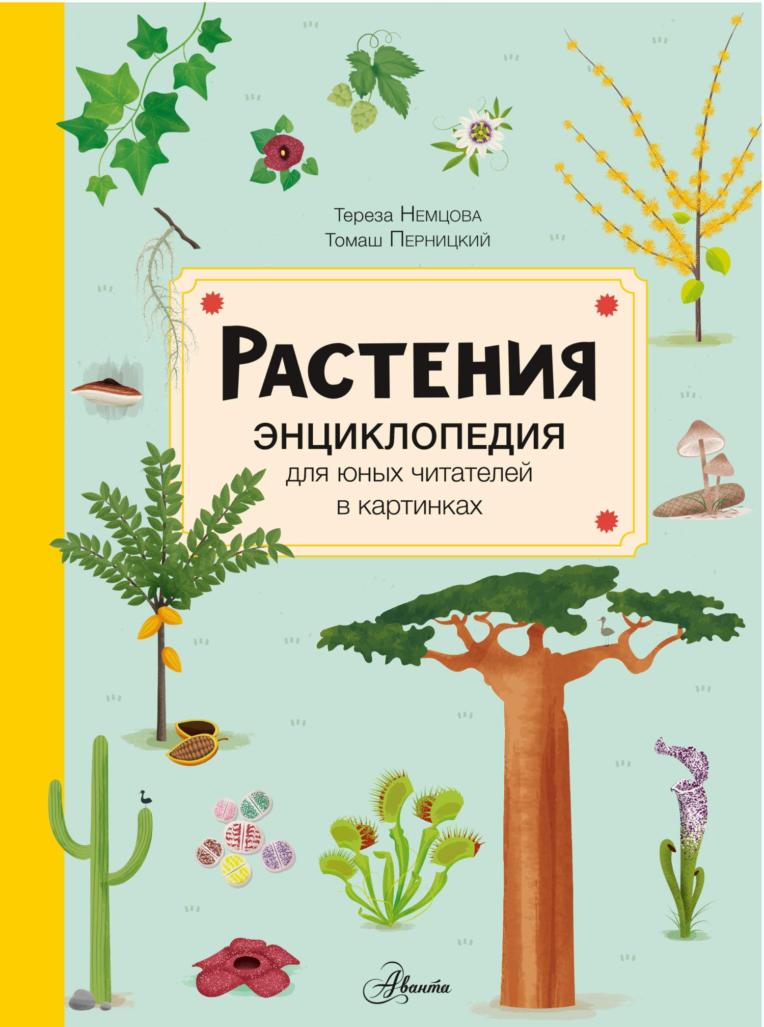 Обложка книги «Растения»
