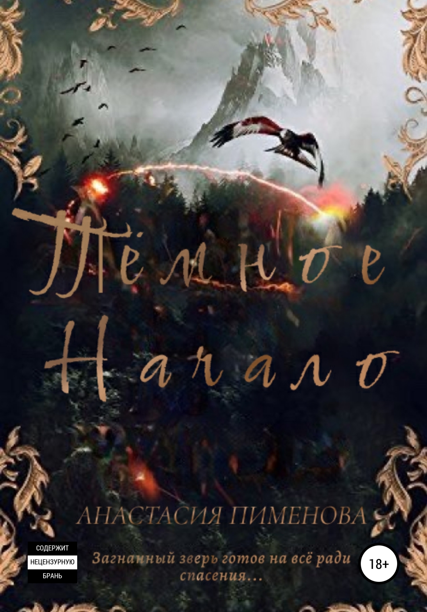 Обложка книги «Тёмное начало»
