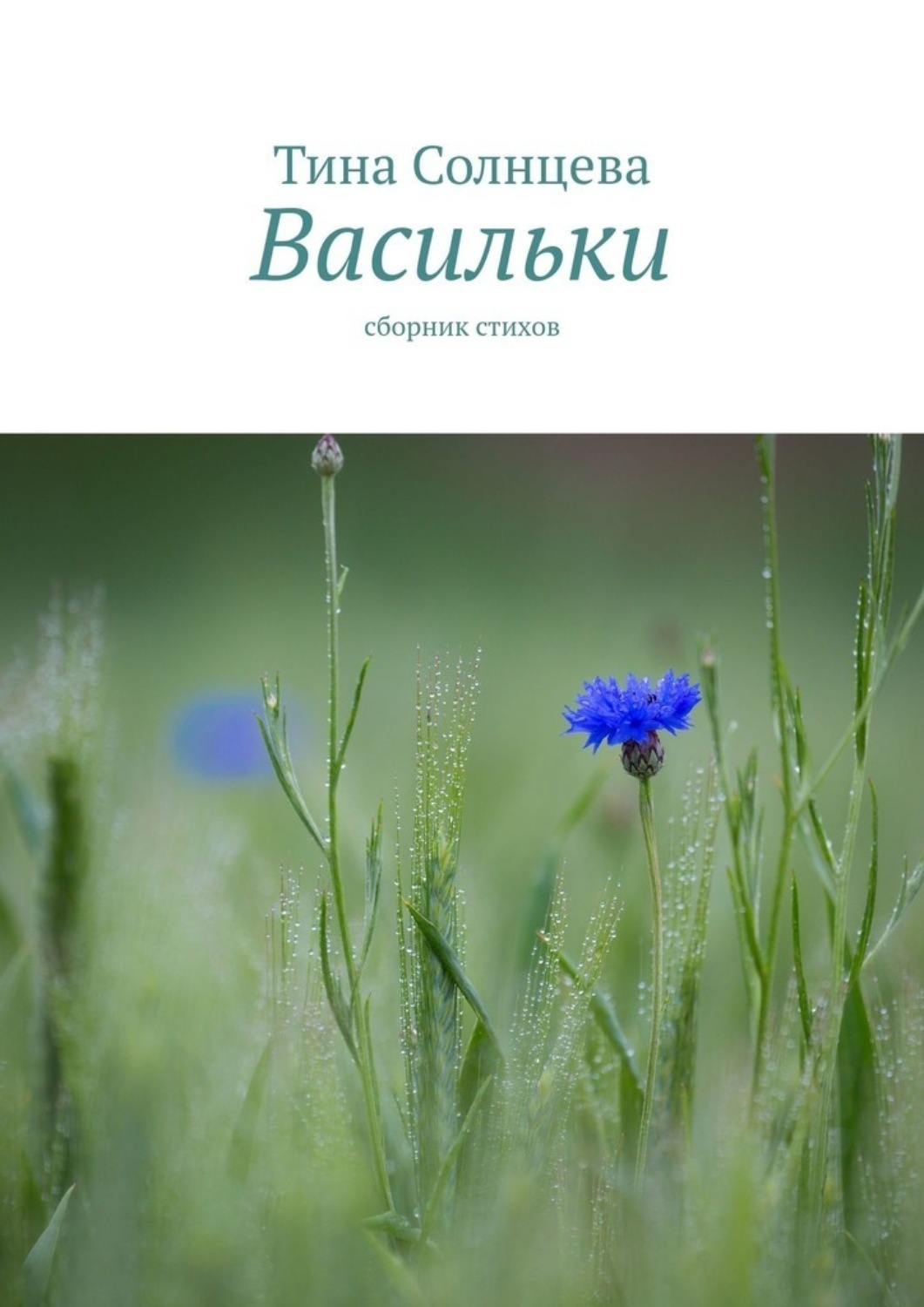 Обложка книги «Васильки. Сборник стихов»