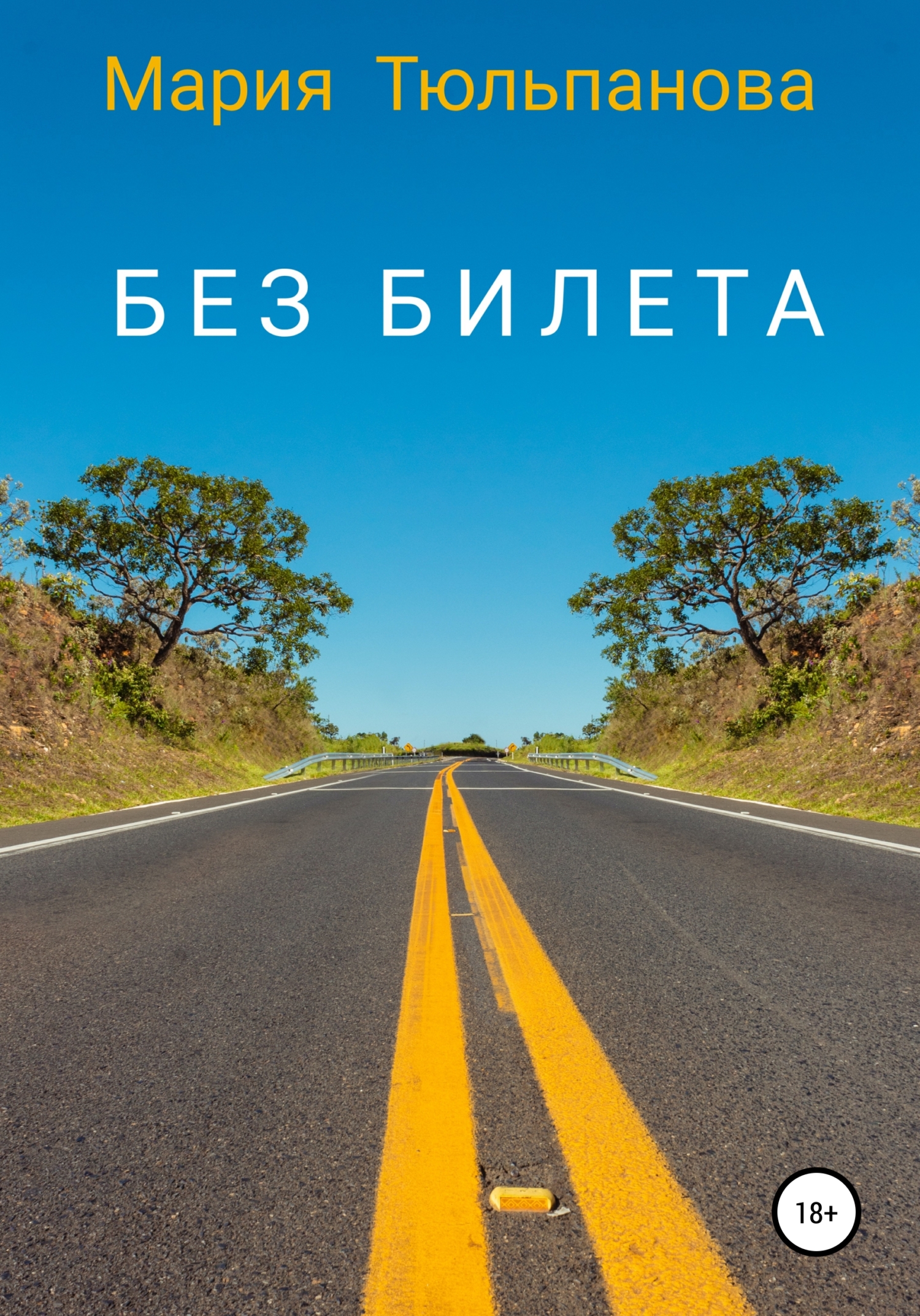 Обложка книги «Без билета»