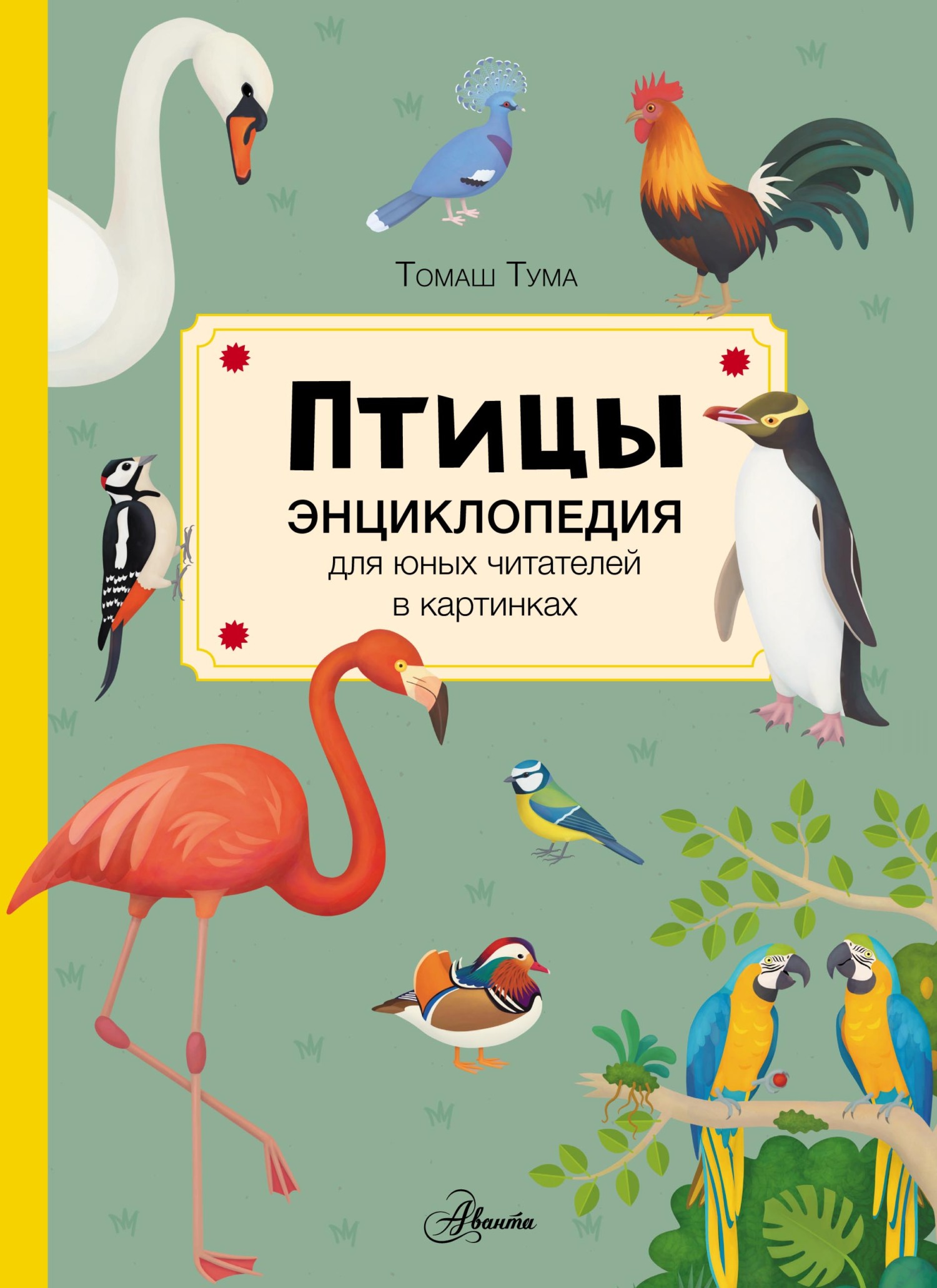 Обложка книги «Птицы»