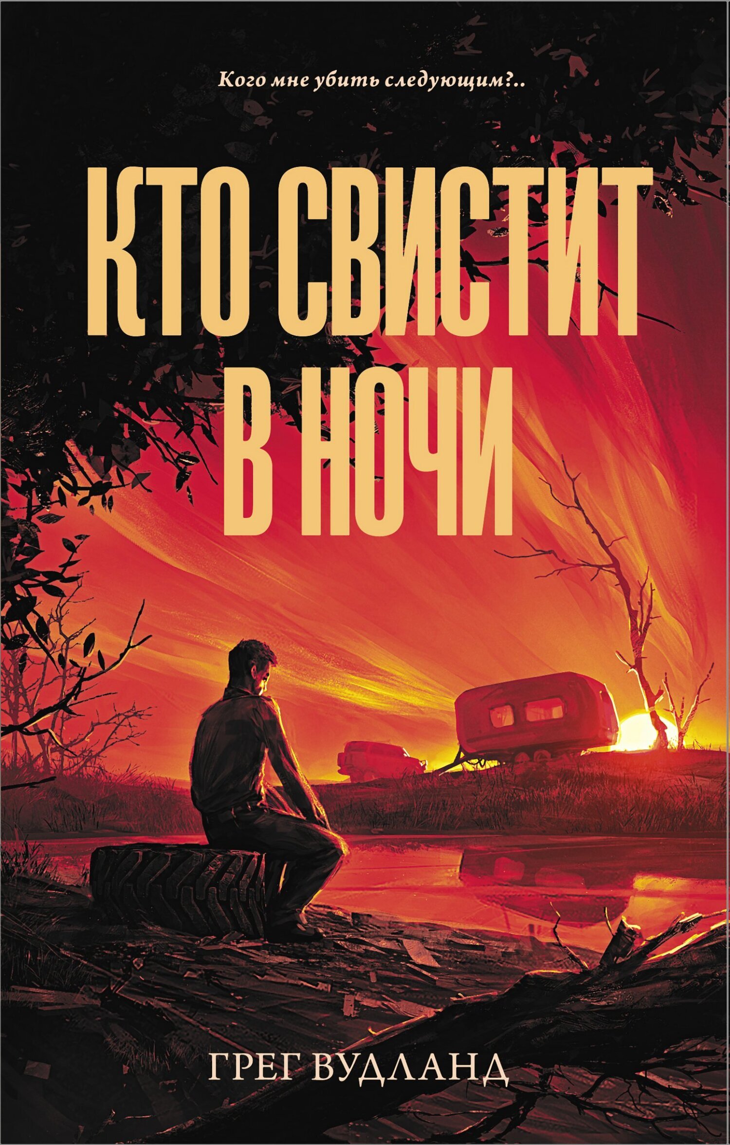 Обложка книги «Кто свистит в ночи»