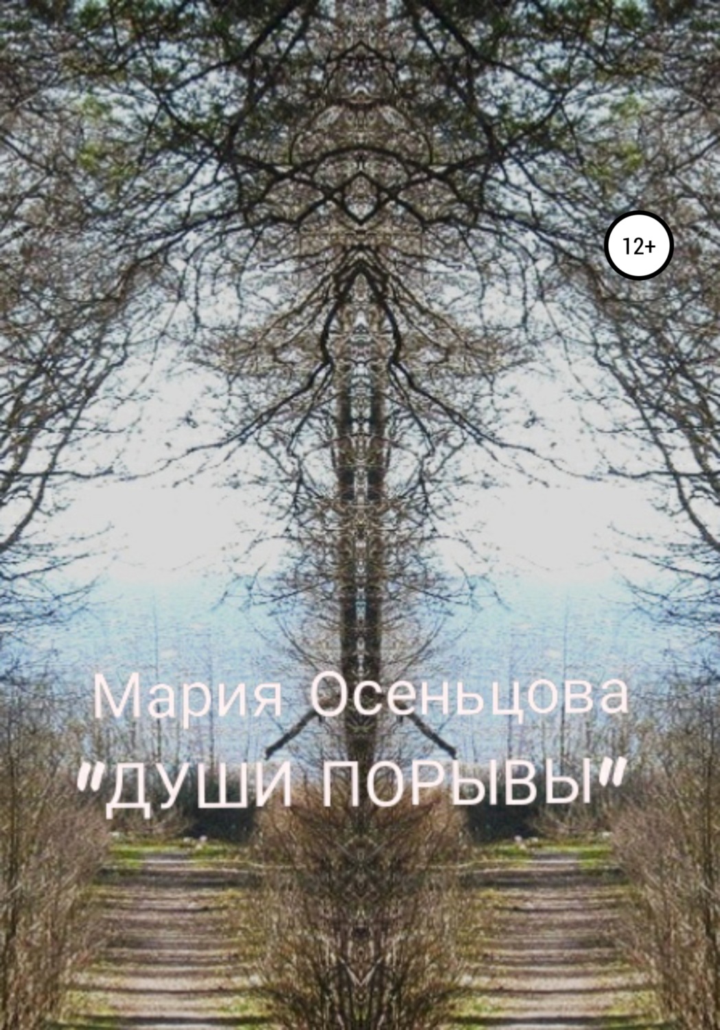 Обложка книги «Души порывы»