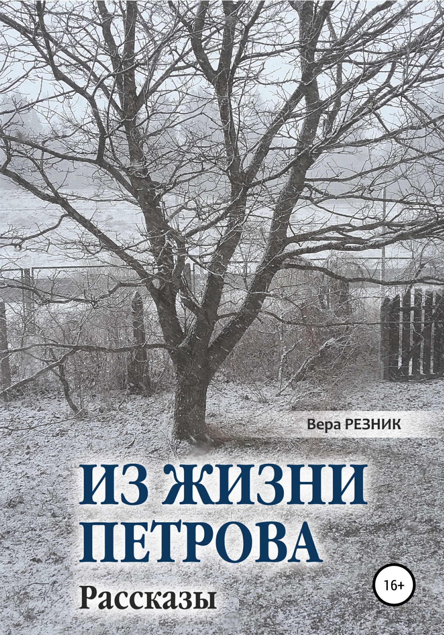 Обложка книги «Из жизни Петрова. Рассказы»
