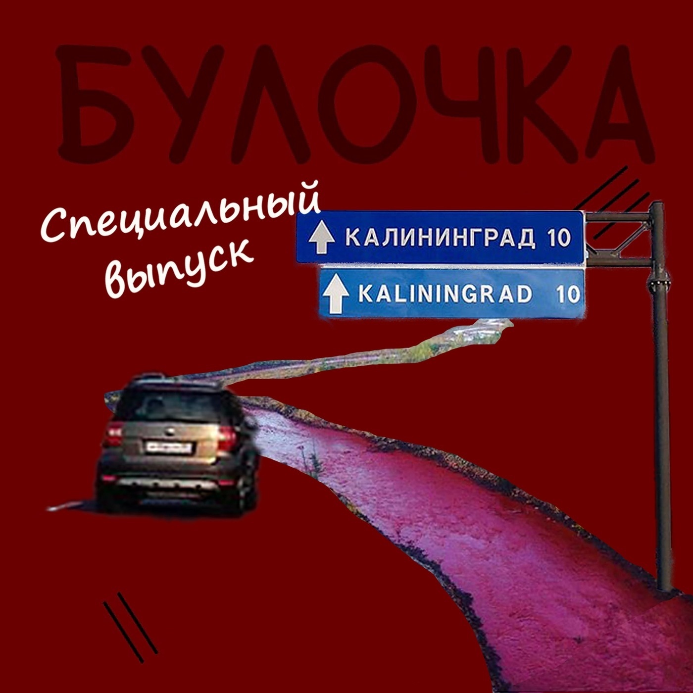 Обложка книги «Спец.выпуск №3 Калининград: Маньяк на колесах и Стихийный маньяк»