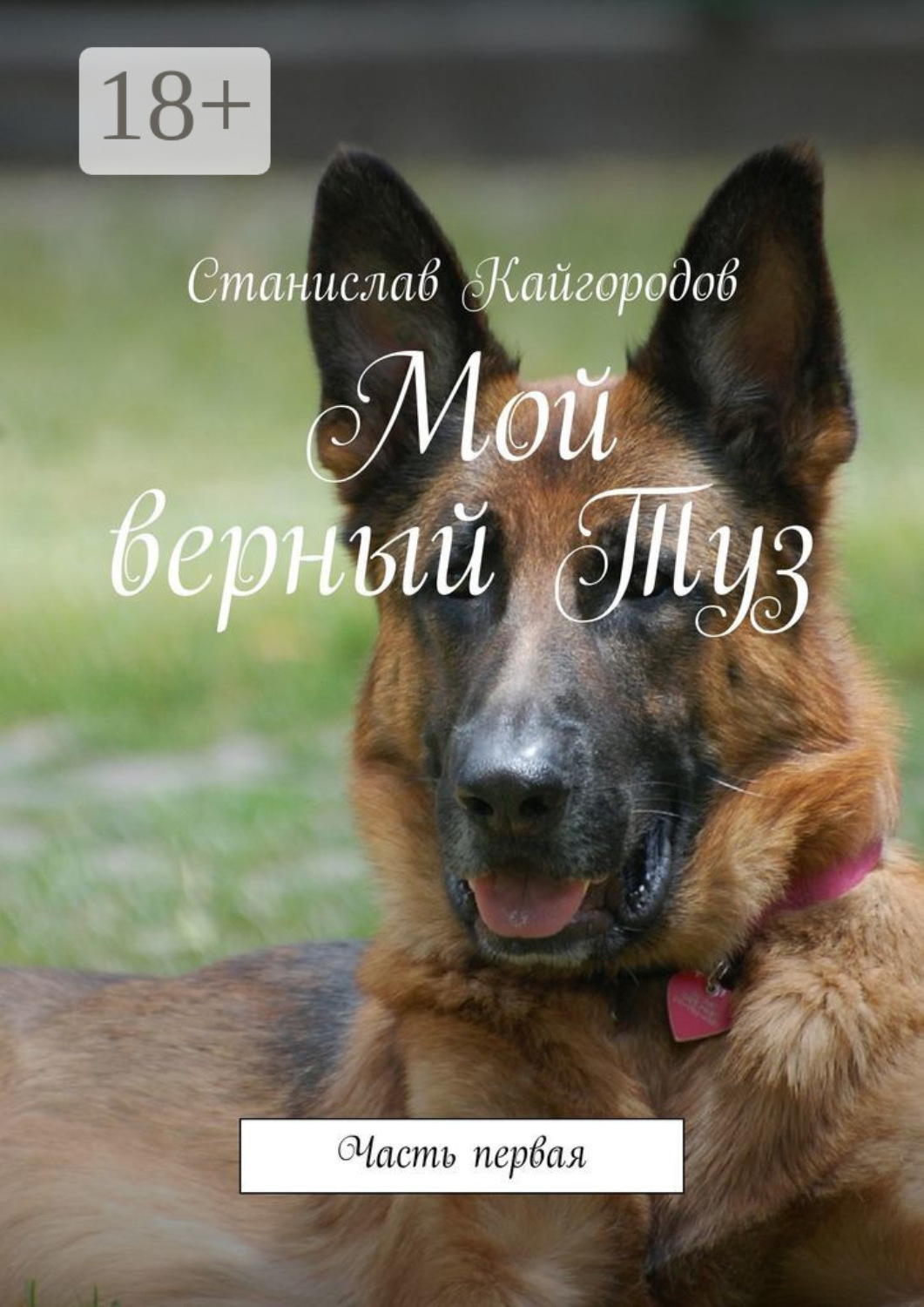 Обложка книги «Мой верный Туз. Часть первая»