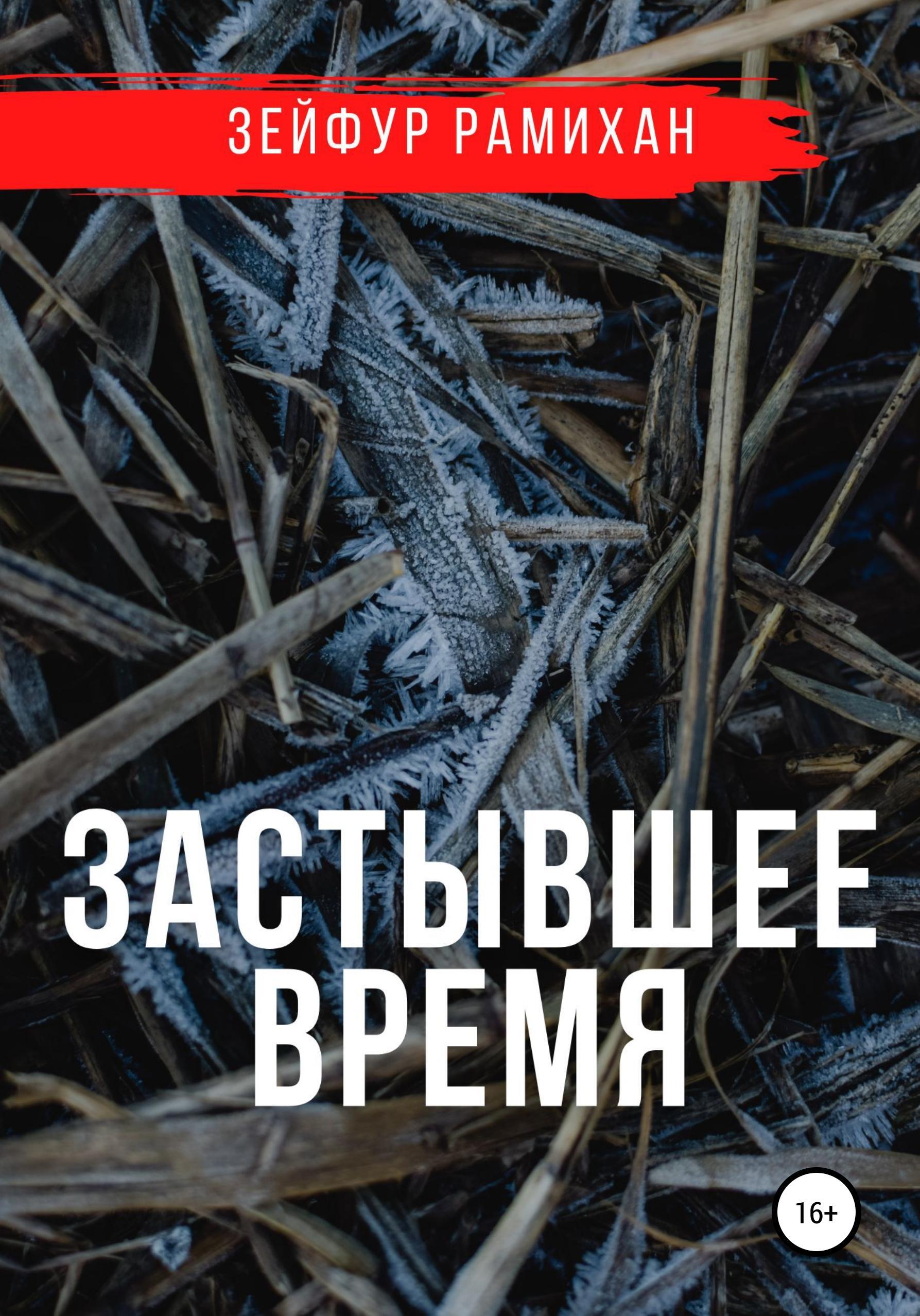 Обложка книги «Застывшее время»