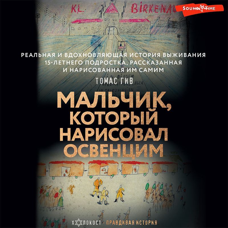 Обложка книги «Мальчик, который нарисовал Освенцим»