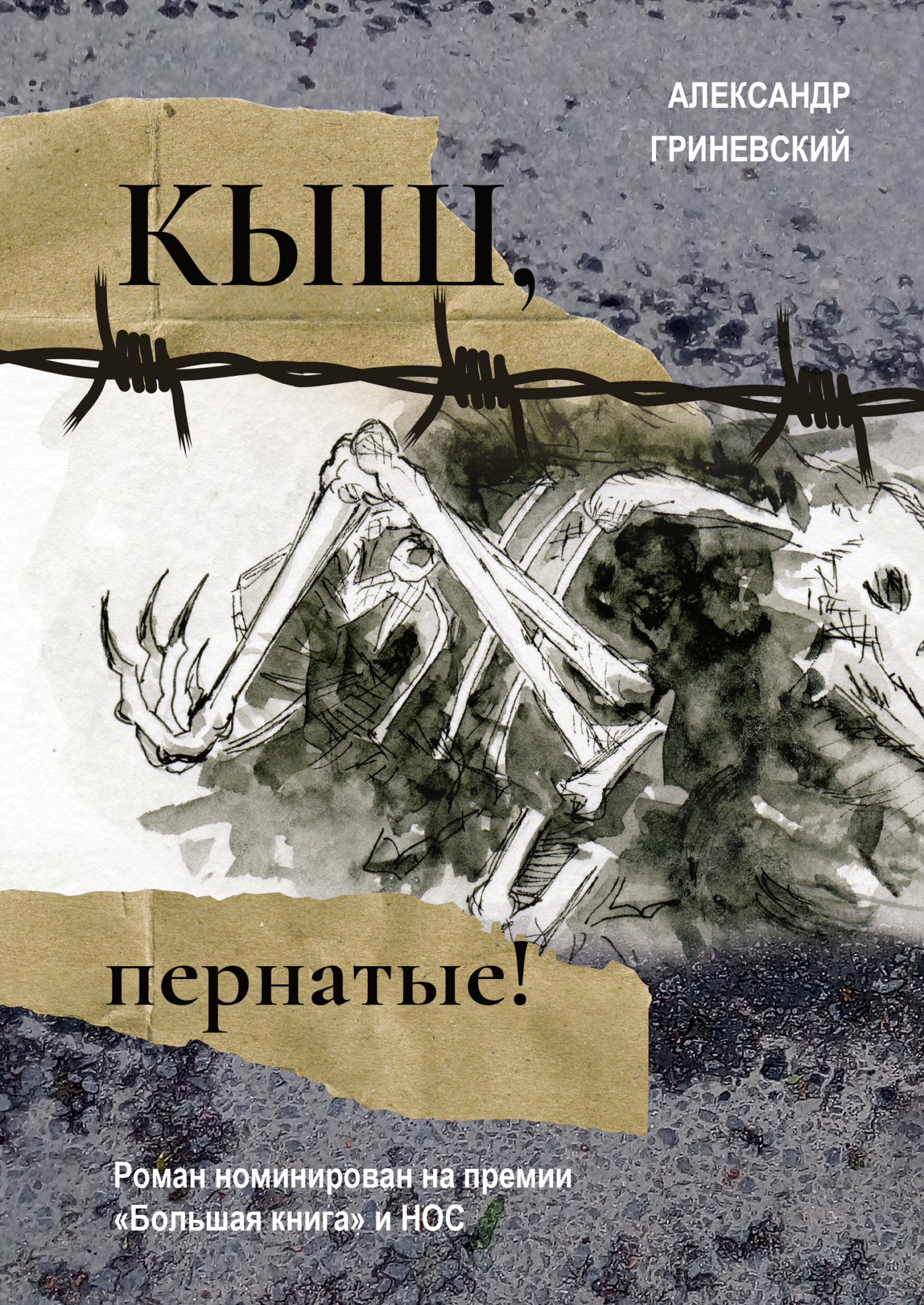 Обложка книги «Кыш, пернатые!»