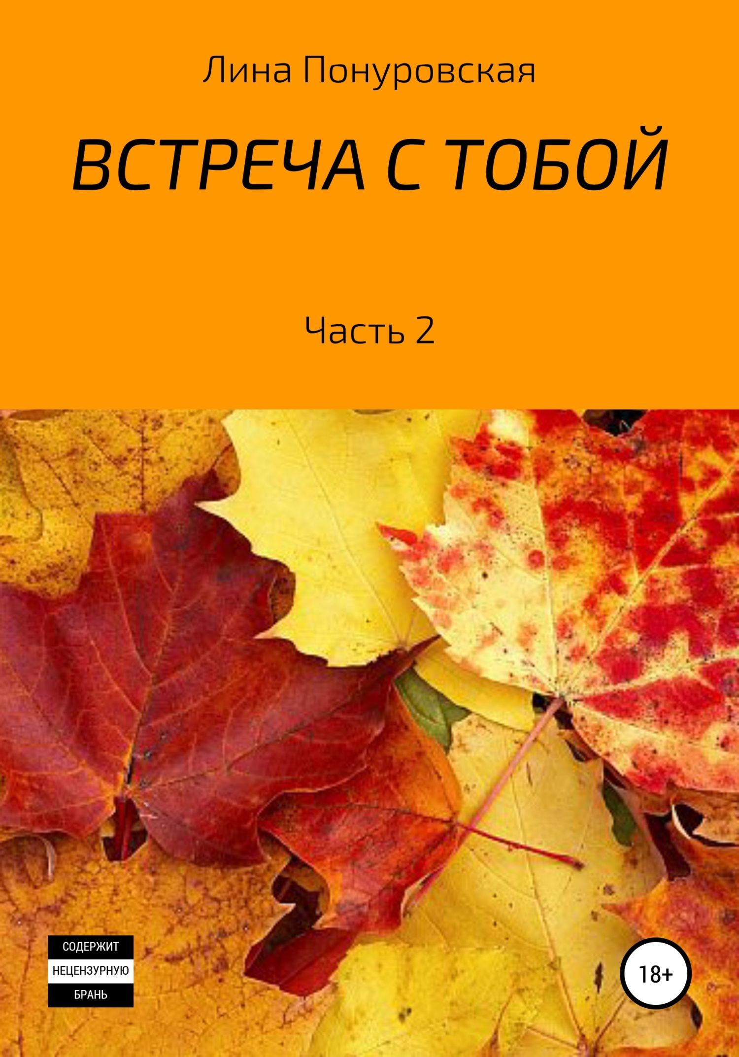 Обложка книги «Встреча с тобой. Часть 2»