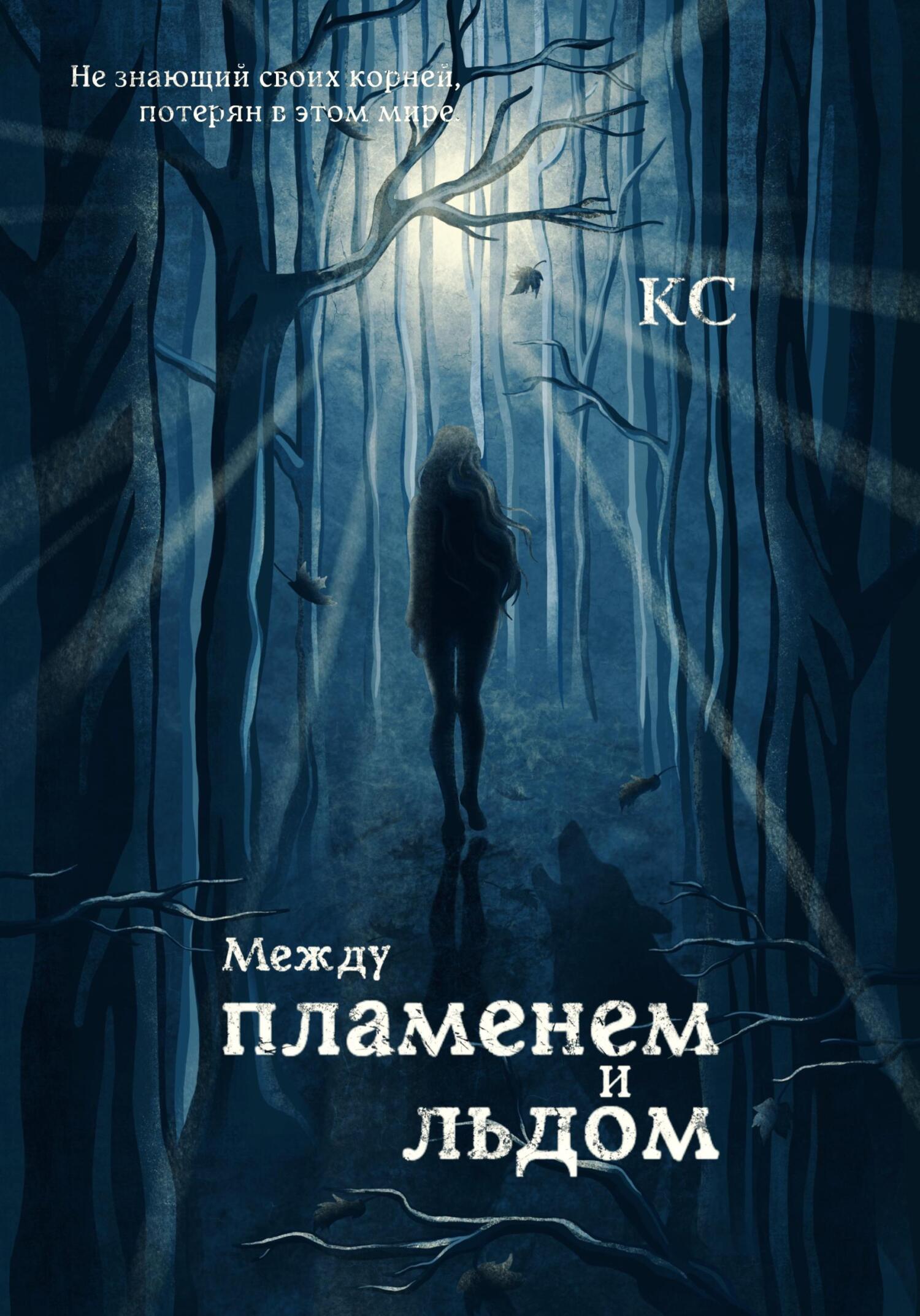 Обложка книги «Между пламенем и льдом»