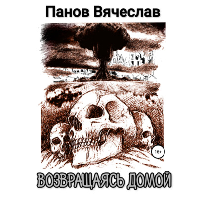 Обложка книги «Возвращаясь домой»
