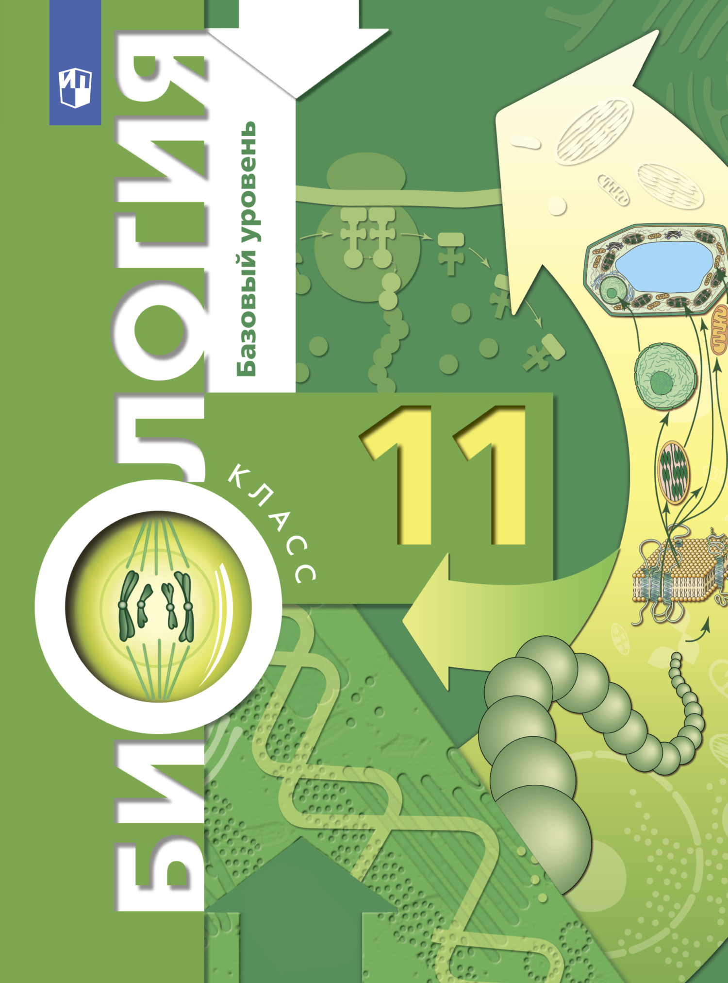 Обложка книги «Биология. 11 класс. Базовый уровень»