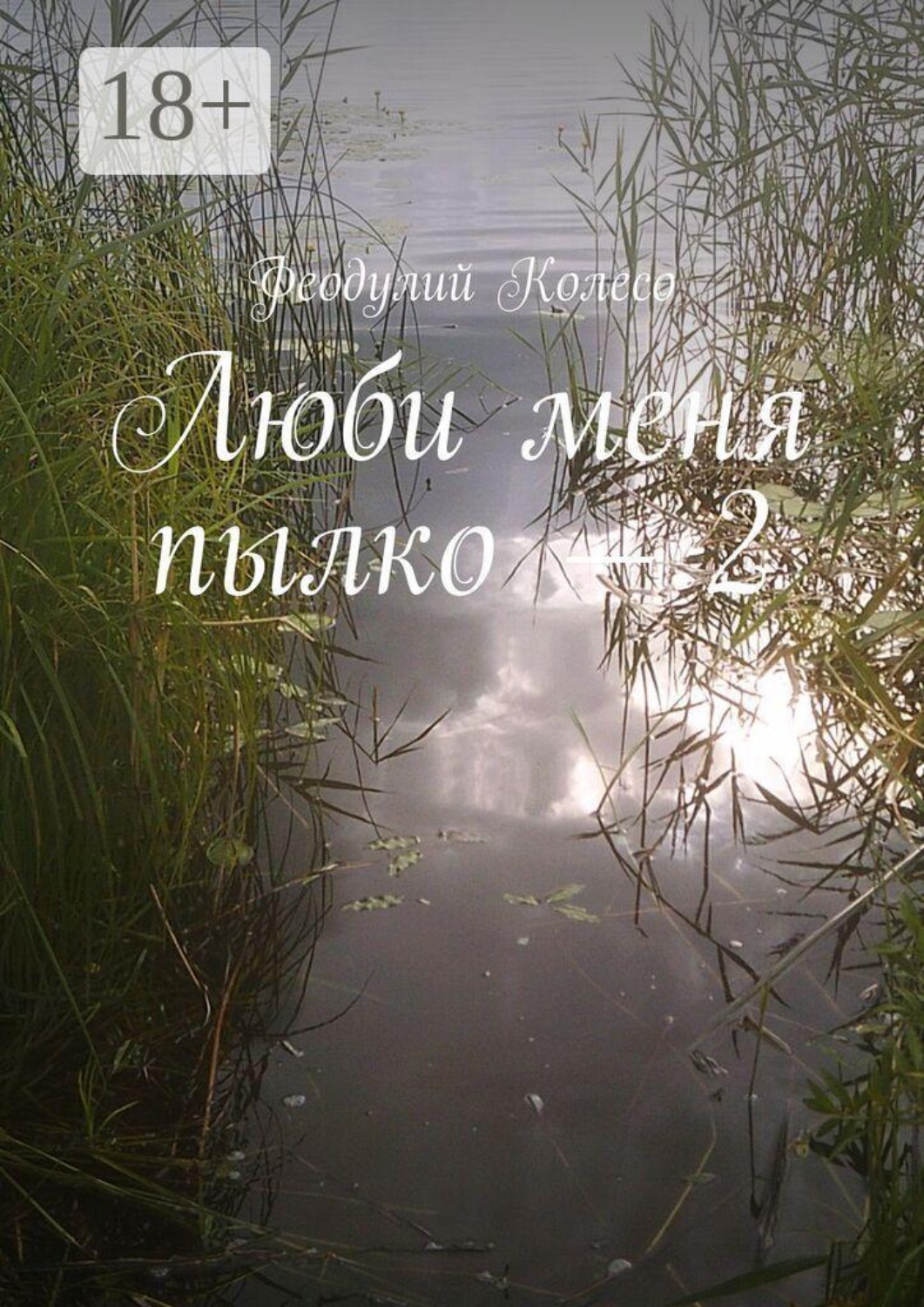 Обложка книги «Люби меня пылко — 2»