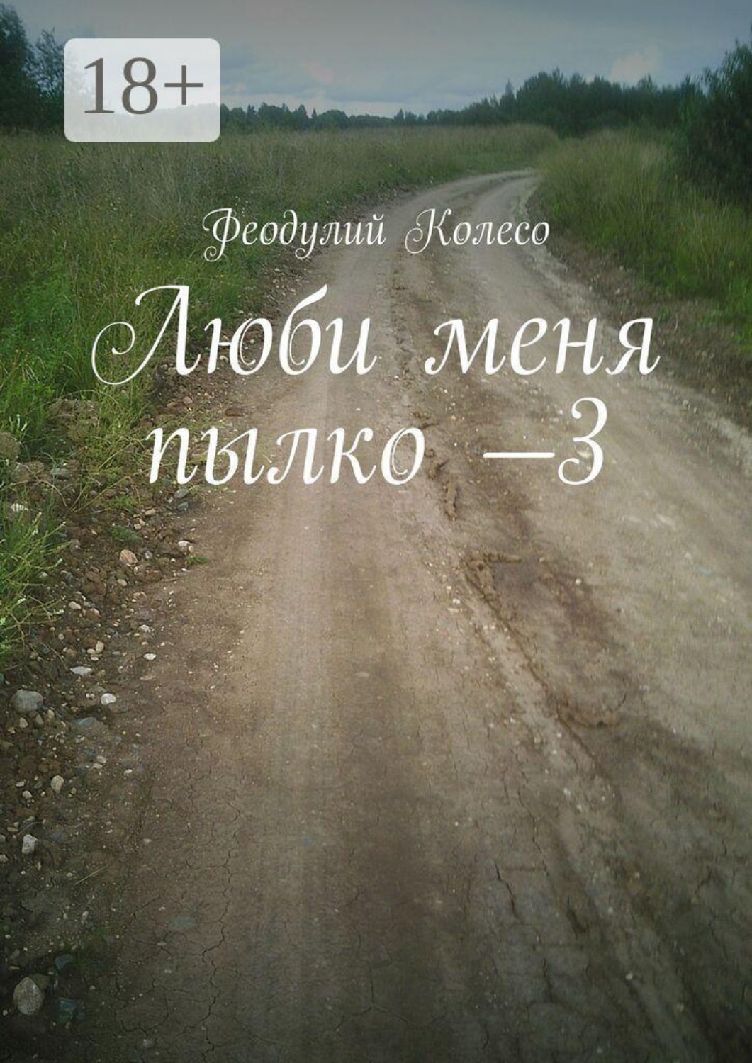 Обложка книги «Люби меня пылко —3»