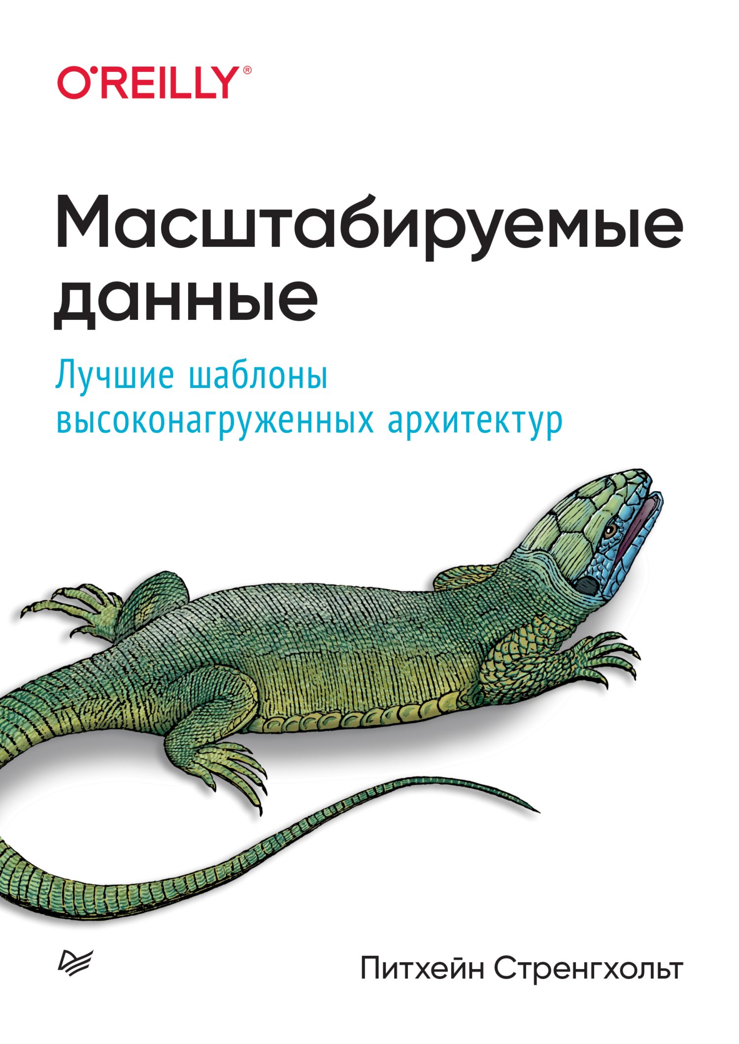 Обложка книги «Масштабируемые данные. Лучшие шаблоны высоконагруженных архитектур (pdf + epub)»